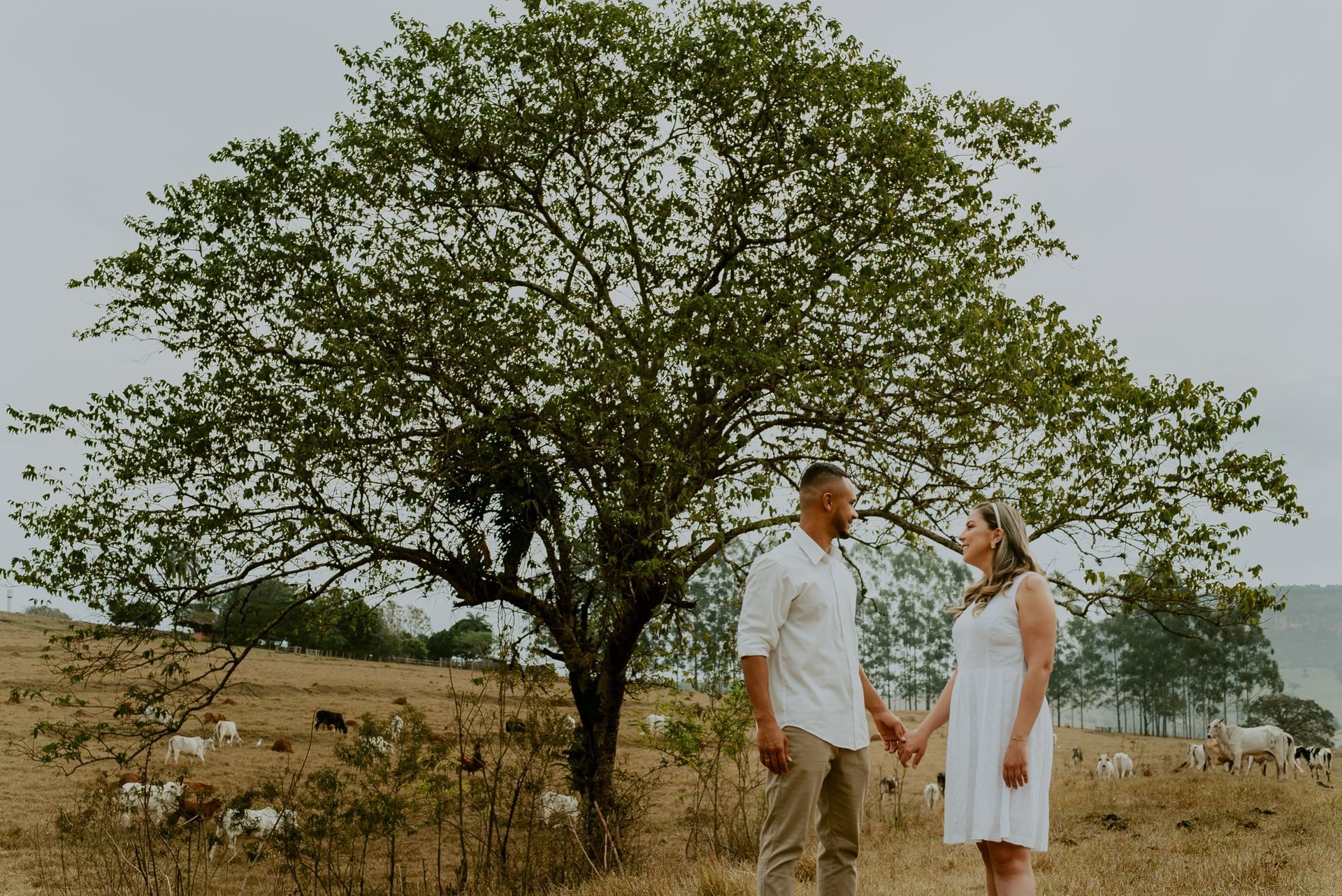 Foto Gabi e Renã | Pré Wedding | Analândia - SP - Imagem 13