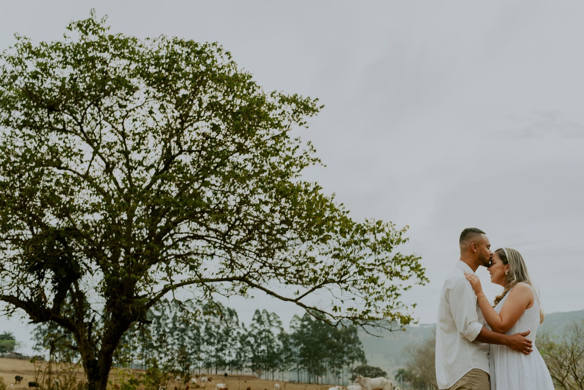 Foto Gabi e Renã | Pré Wedding | Analândia - SP - Imagem 14