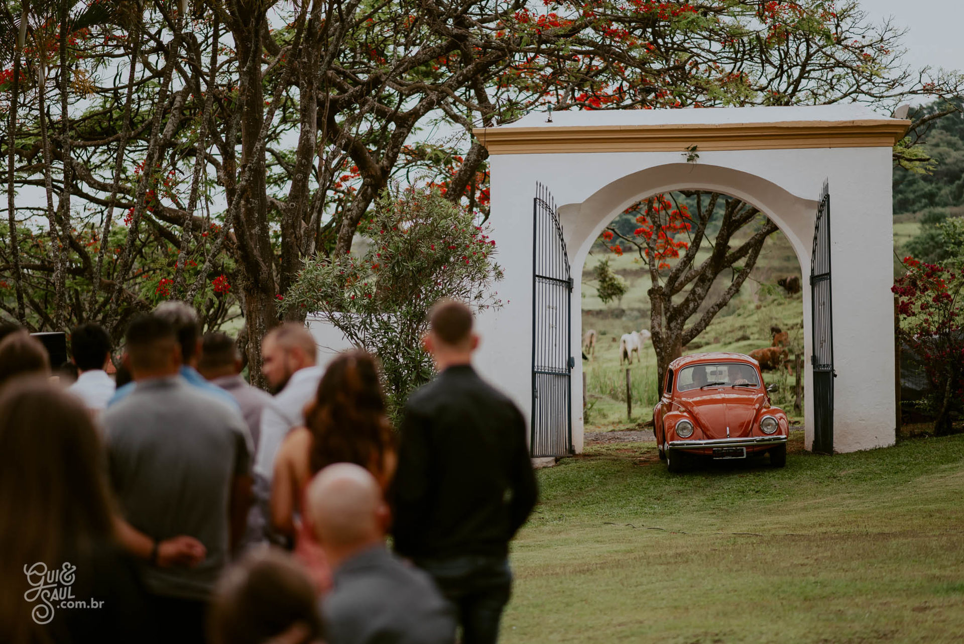 Foto CASAMENTO JÉSSICA E MARIO | FAZENDA QUILOMBO | LIMEIRA - SP - Imagem 50