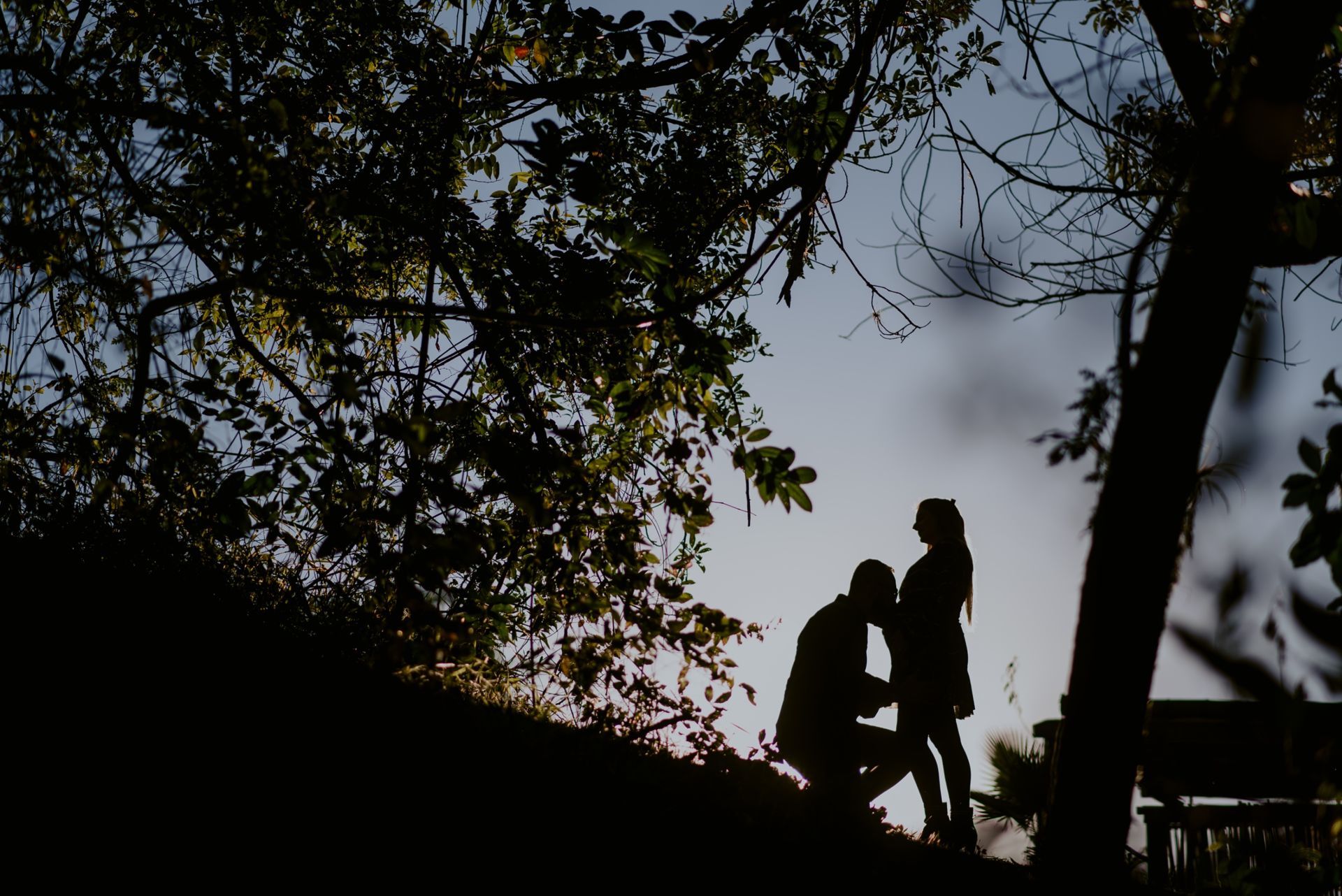 Foto GESTANTE DAMIANE  | HOLAMBRA - SP - Imagem 6