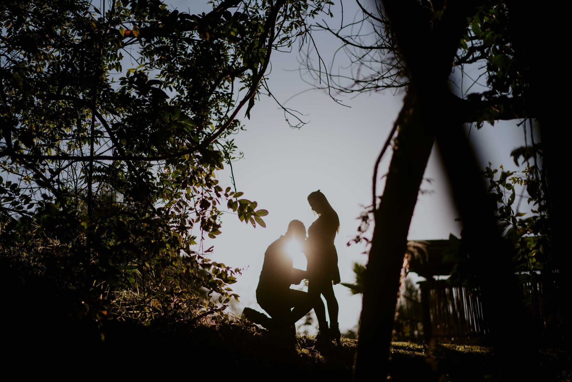 Foto GESTANTE DAMIANE  | HOLAMBRA - SP - Imagem 5