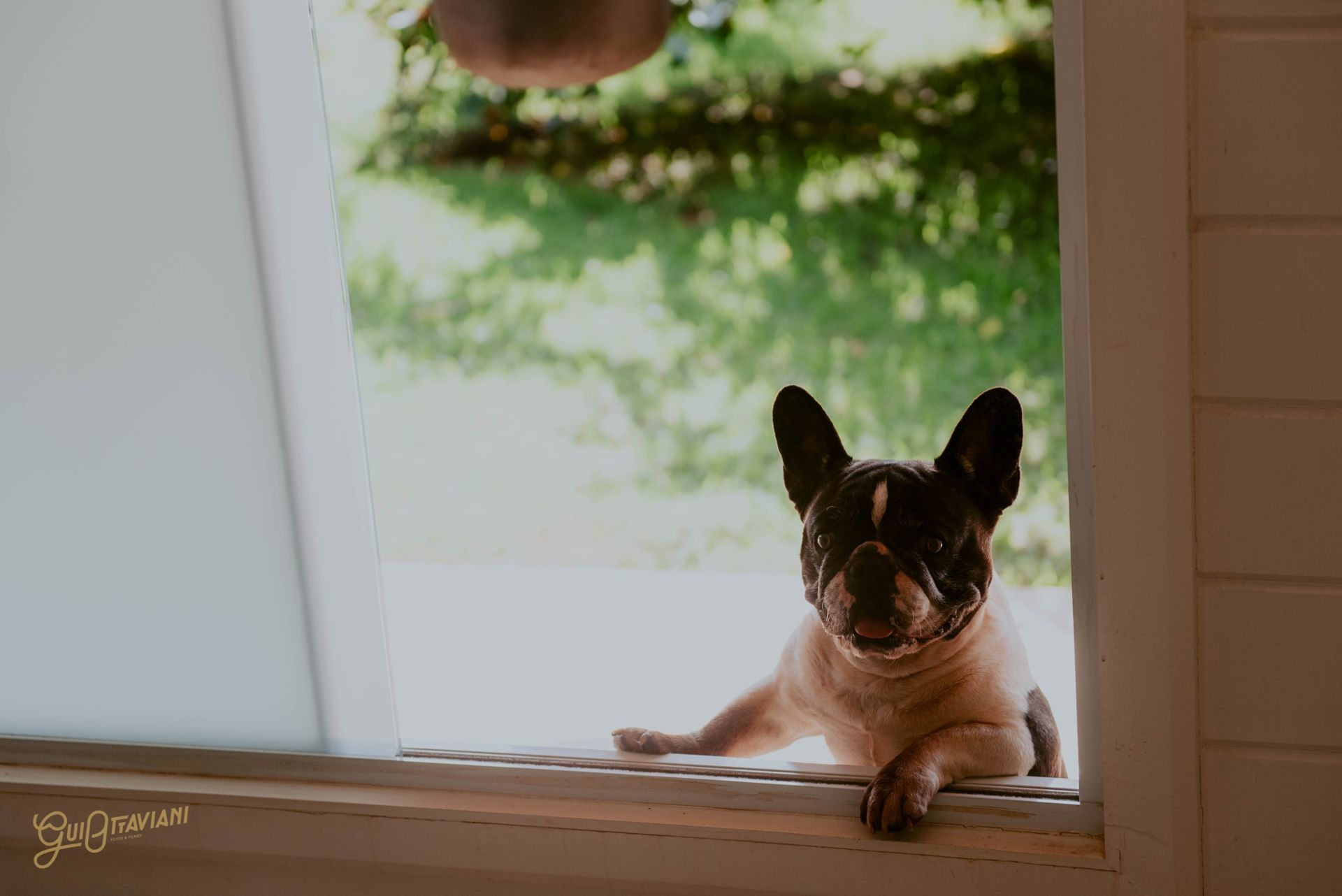 Foto CASAMENTO THABATA E FELIPE | LE BLE | RIO CLARO - SP - Imagem 29