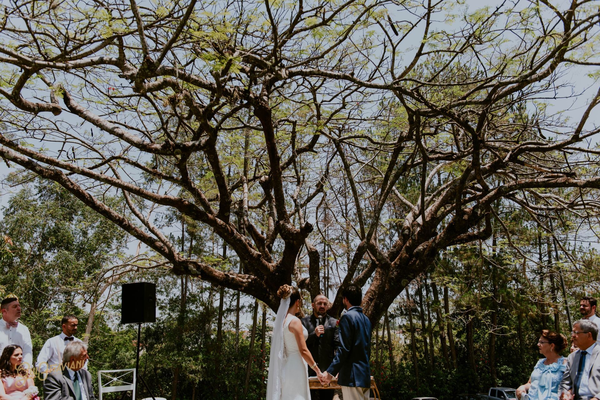 Foto CASAMENTO THABATA E FELIPE | LE BLE | RIO CLARO - SP - Imagem 57