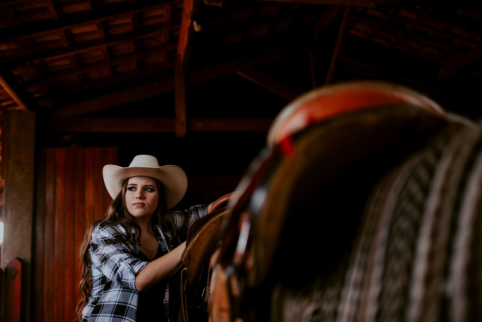 Foto Debutante Yllari | Haras Luana | RIo Claro - SP - Imagem 3