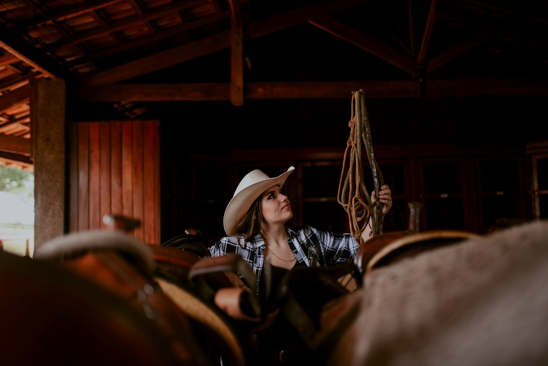 Foto Debutante Yllari | Haras Luana | RIo Claro - SP - Imagem 4