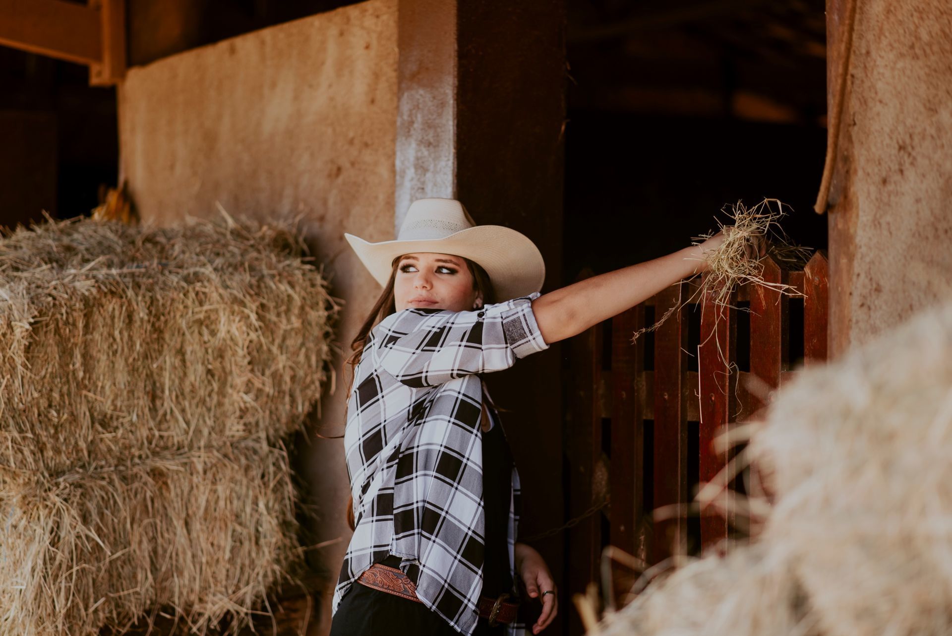 Foto Debutante Yllari | Haras Luana | RIo Claro - SP - Imagem 8