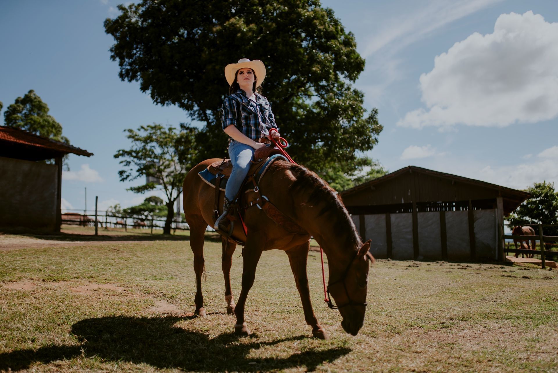 Foto Debutante Yllari | Haras Luana | RIo Claro - SP - Imagem 10