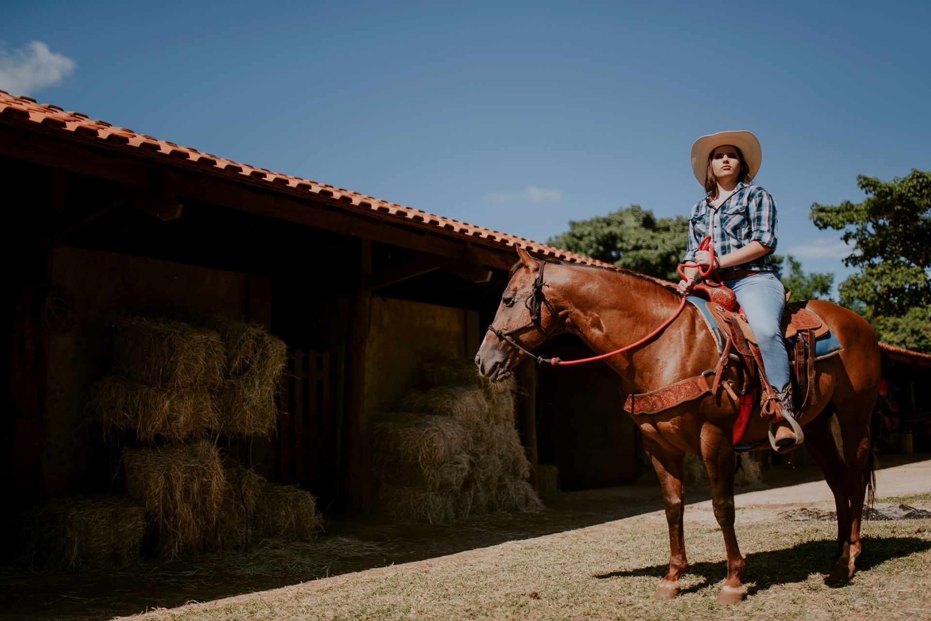 Foto Debutante Yllari | Haras Luana | RIo Claro - SP - Imagem 12