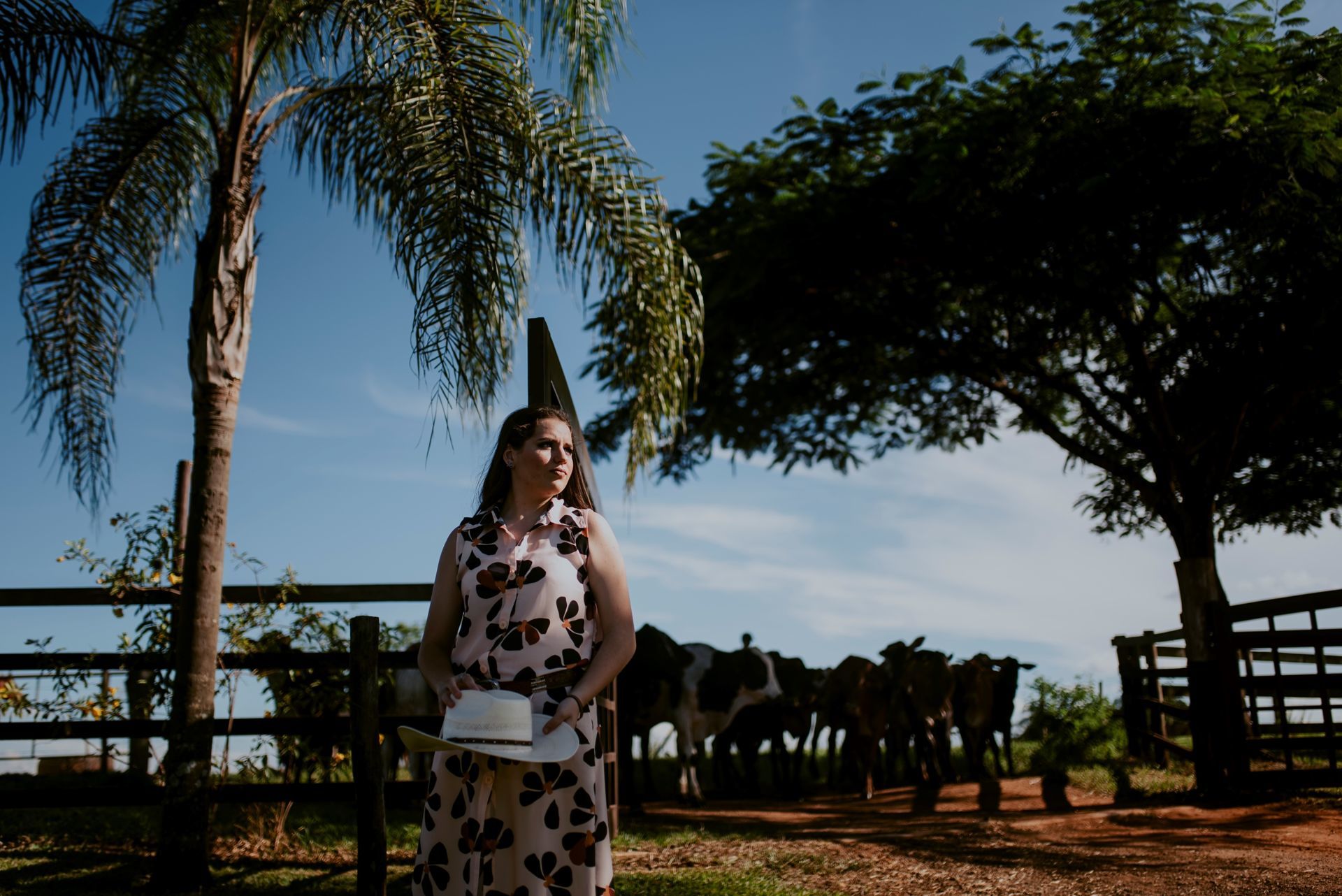 Foto Debutante Yllari | Haras Luana | RIo Claro - SP - Imagem 17