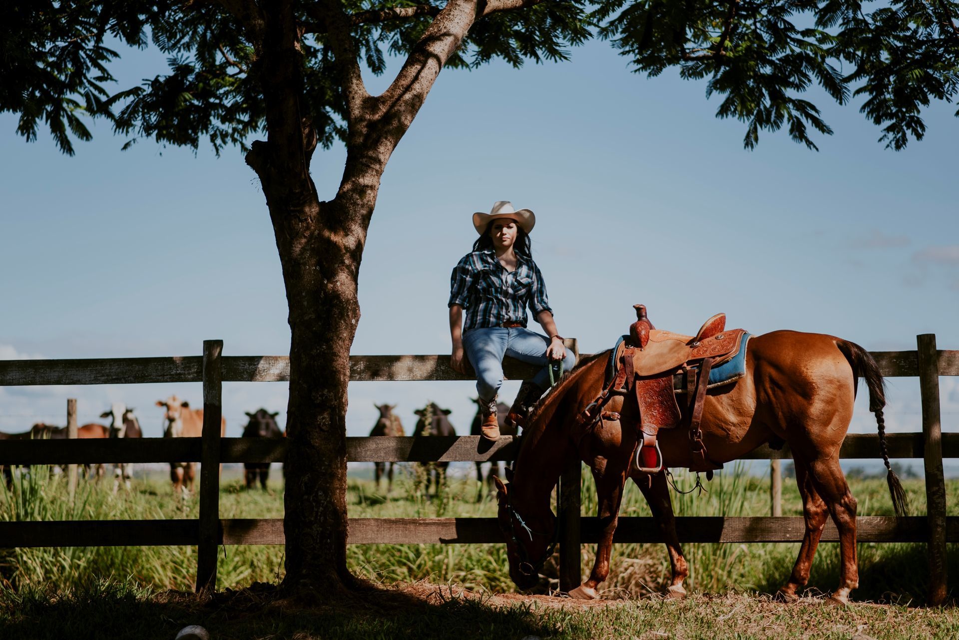 Foto Debutante Yllari | Haras Luana | RIo Claro - SP - Imagem 14