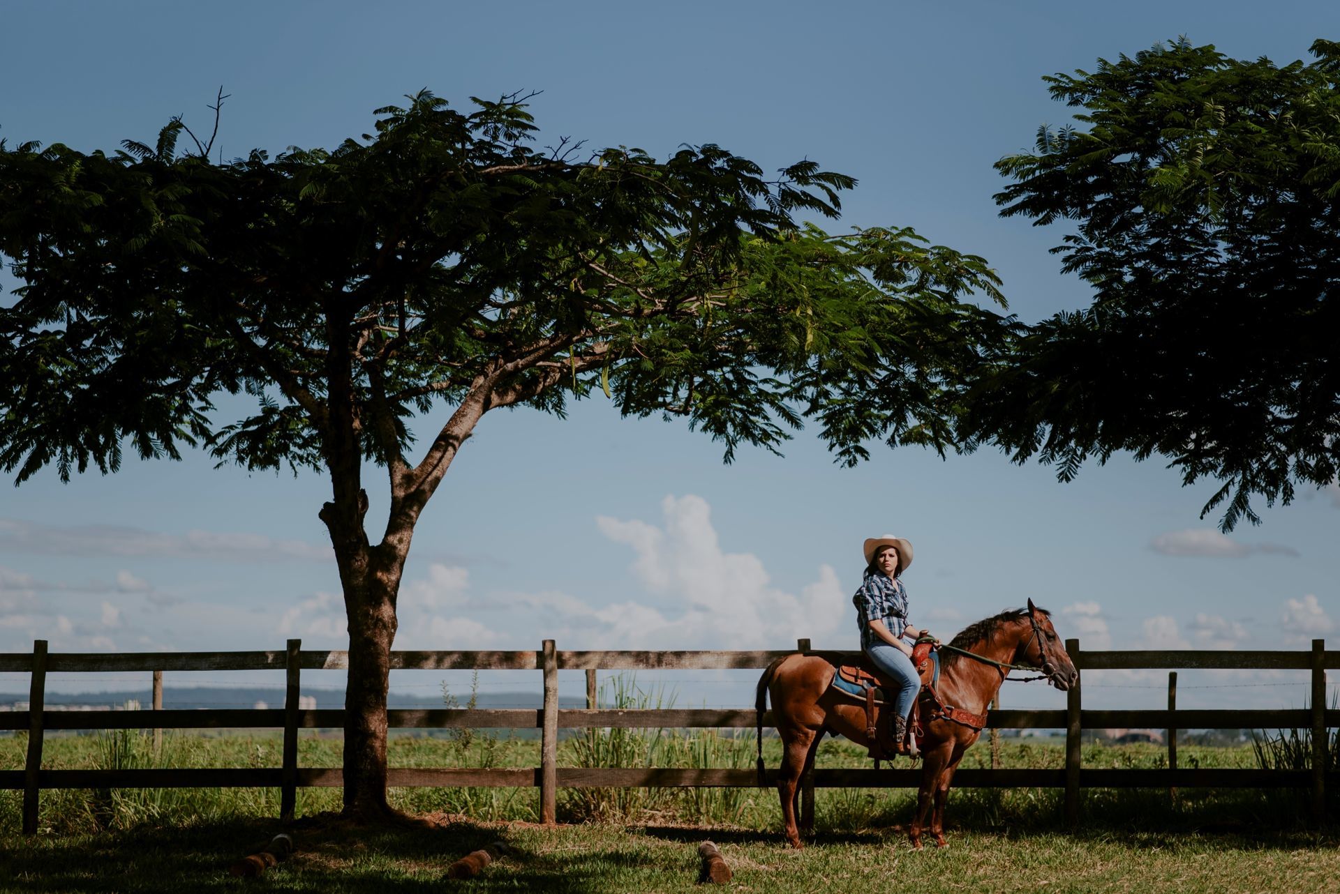 Foto Debutante Yllari | Haras Luana | RIo Claro - SP - Imagem 13