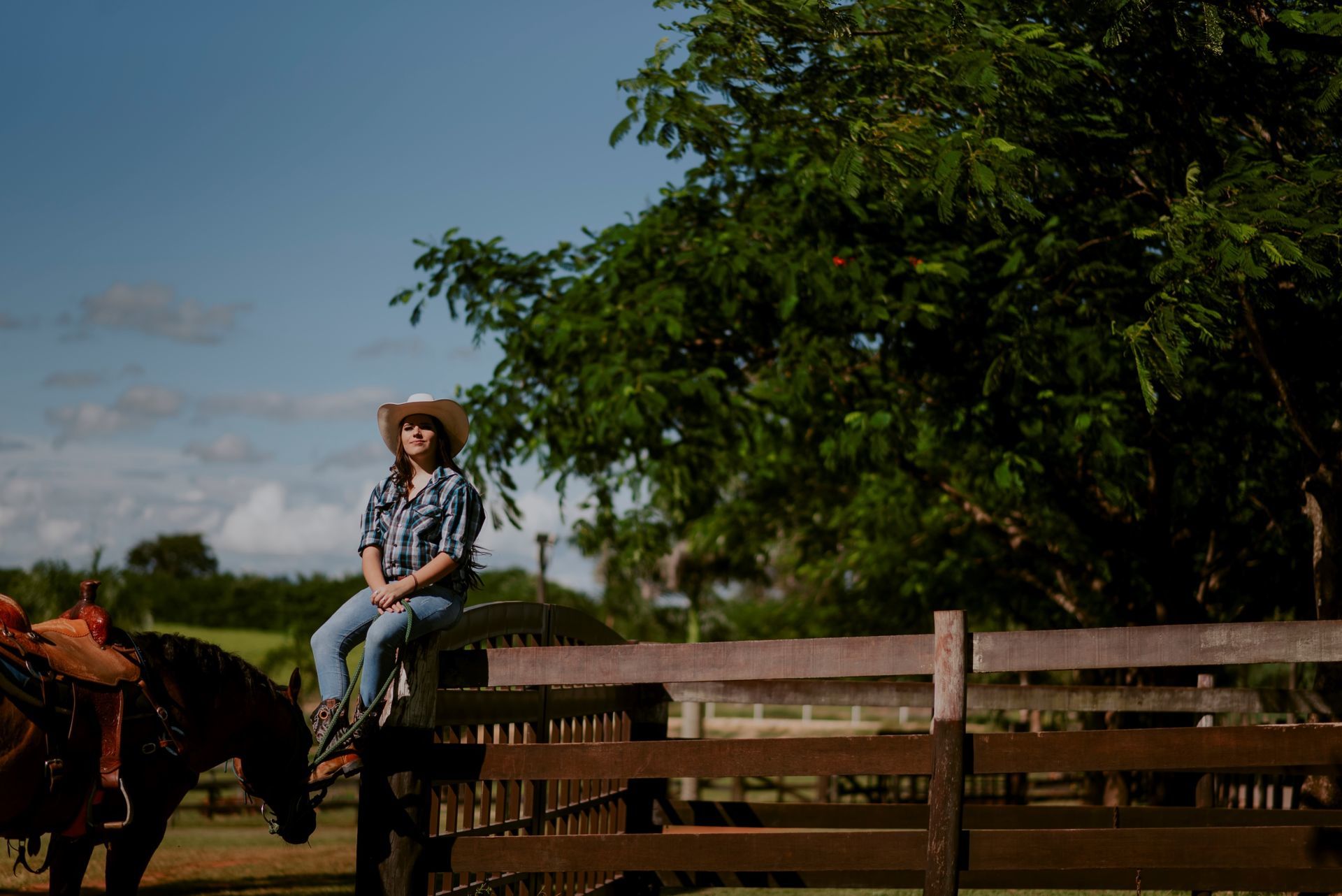 Foto Debutante Yllari | Haras Luana | RIo Claro - SP - Imagem 16