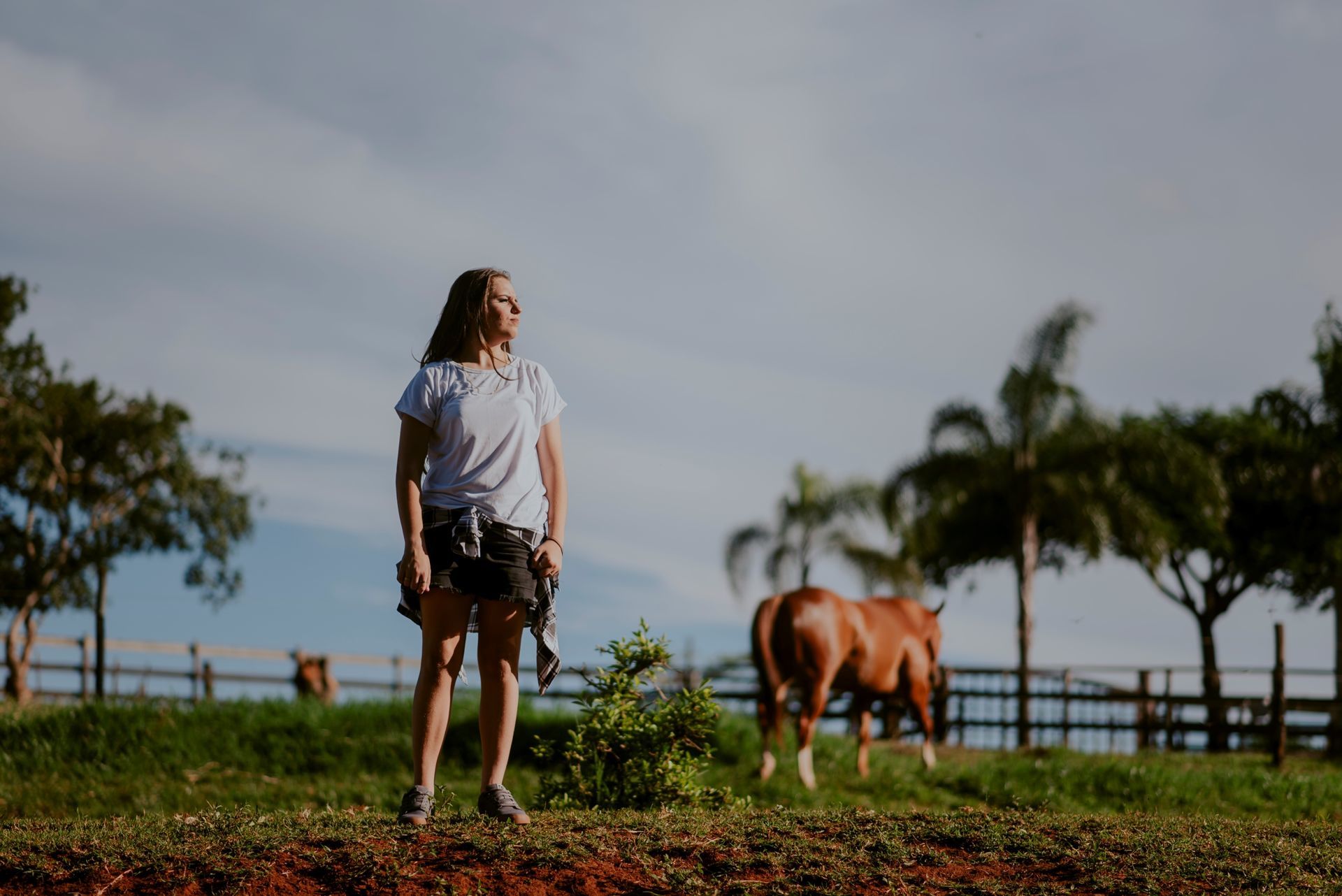 Foto Debutante Yllari | Haras Luana | RIo Claro - SP - Imagem 20