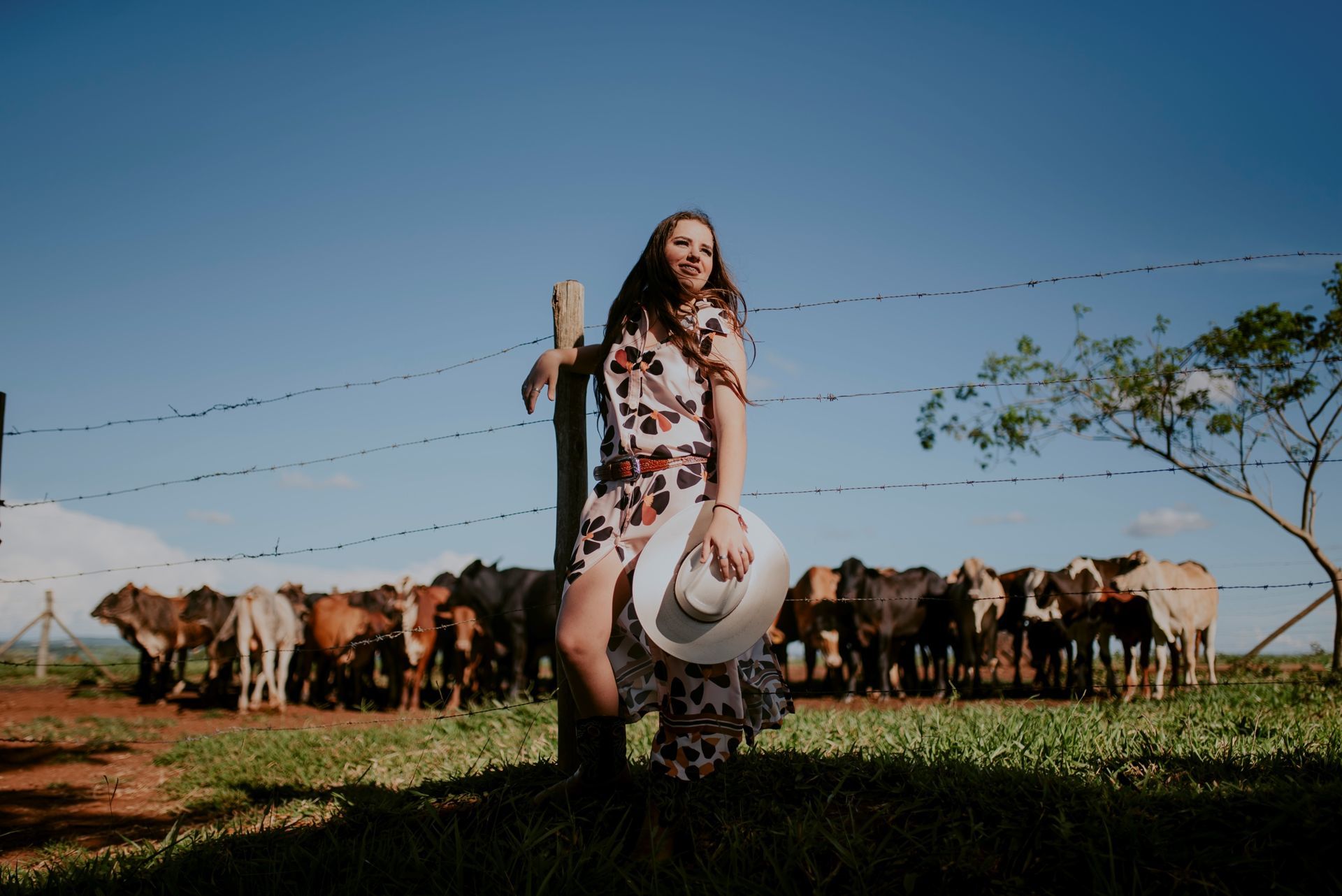 Foto Debutante Yllari | Haras Luana | RIo Claro - SP - Imagem 18