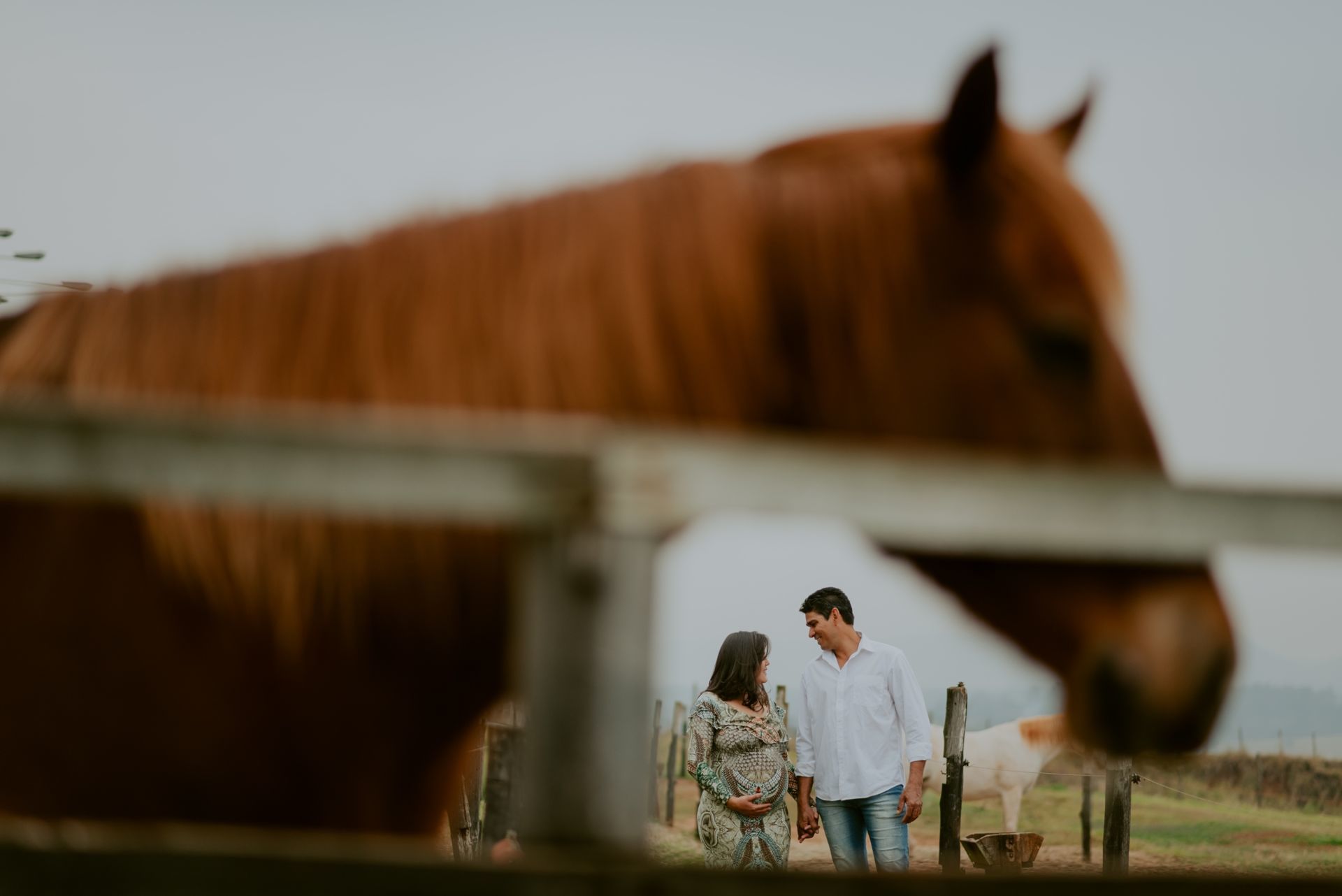 Foto Nathalia Gonçalves | Haras Faxina | Rio Claro - SP - Imagem 12