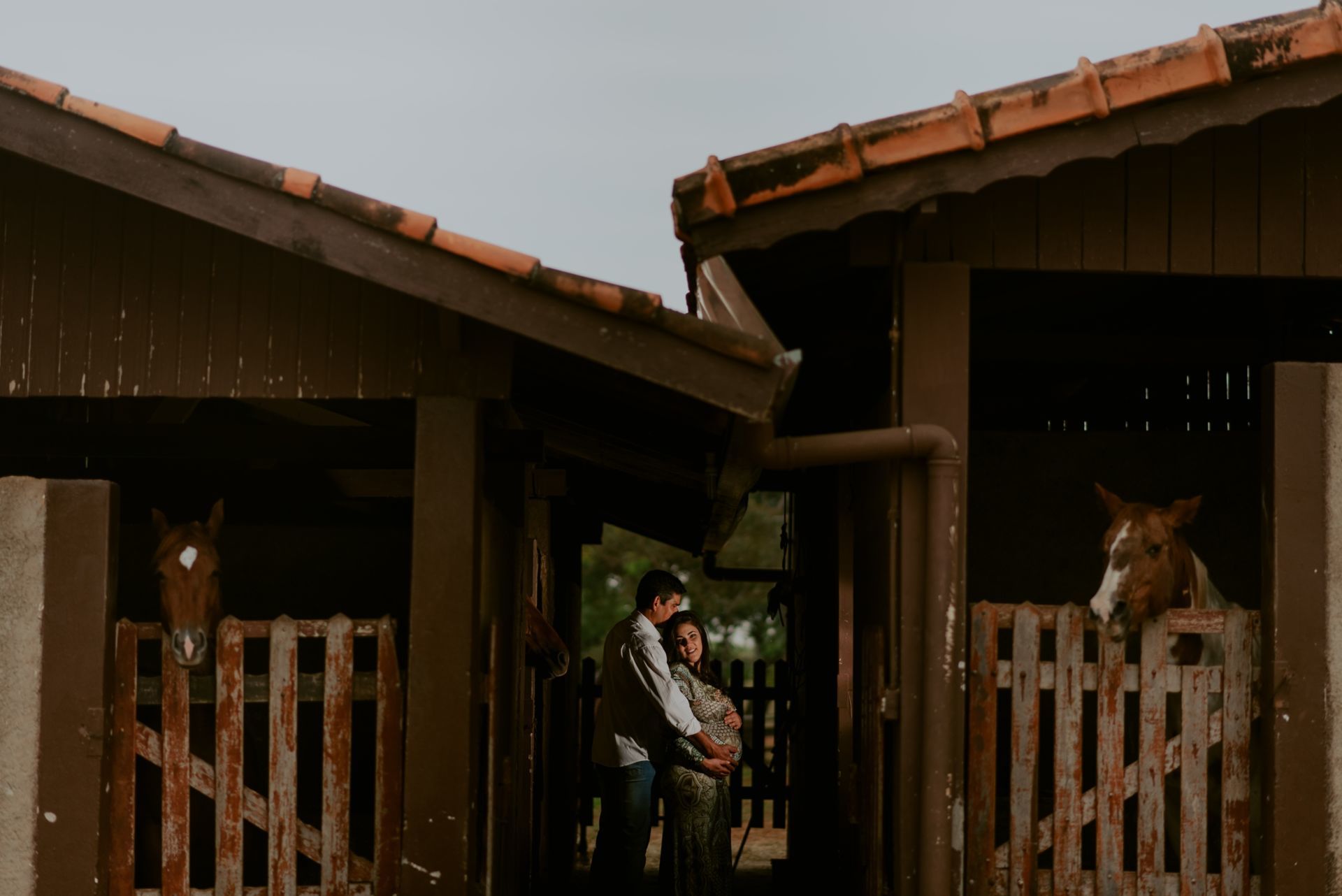 Foto Nathalia Gonçalves | Haras Faxina | Rio Claro - SP - Imagem 16