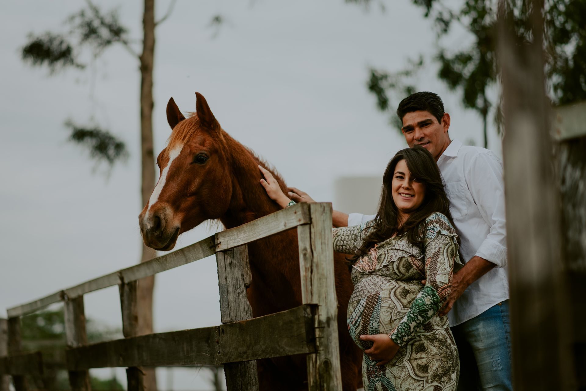 Foto Nathalia Gonçalves | Haras Faxina | Rio Claro - SP - Imagem 11