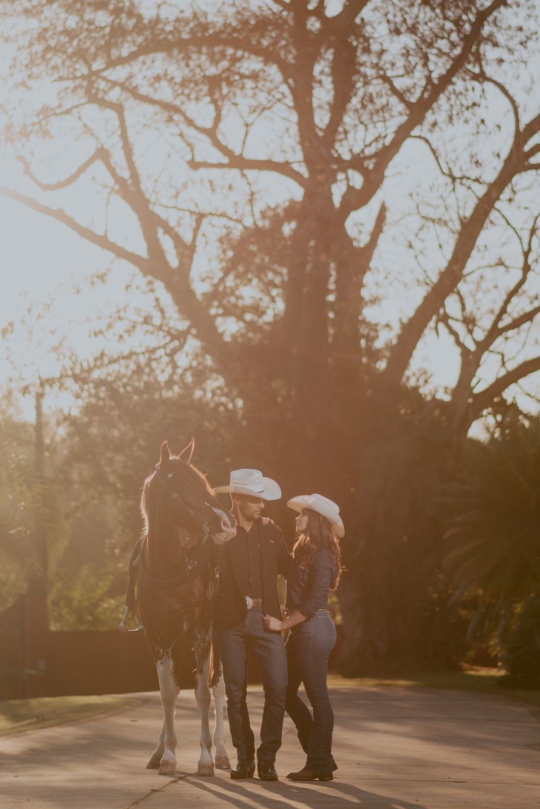 Foto LIDIA E SEBASTIAN | HARAS PONTA DA CANA | LIMEIRA-SP - Imagem 44