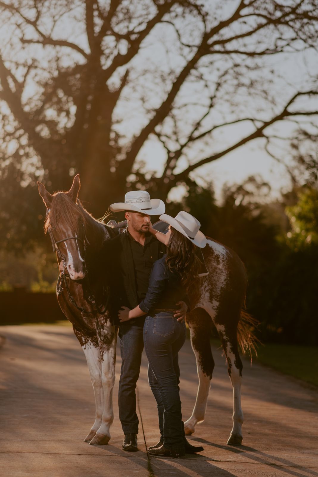 Foto LIDIA E SEBASTIAN | HARAS PONTA DA CANA | LIMEIRA-SP - Imagem 45