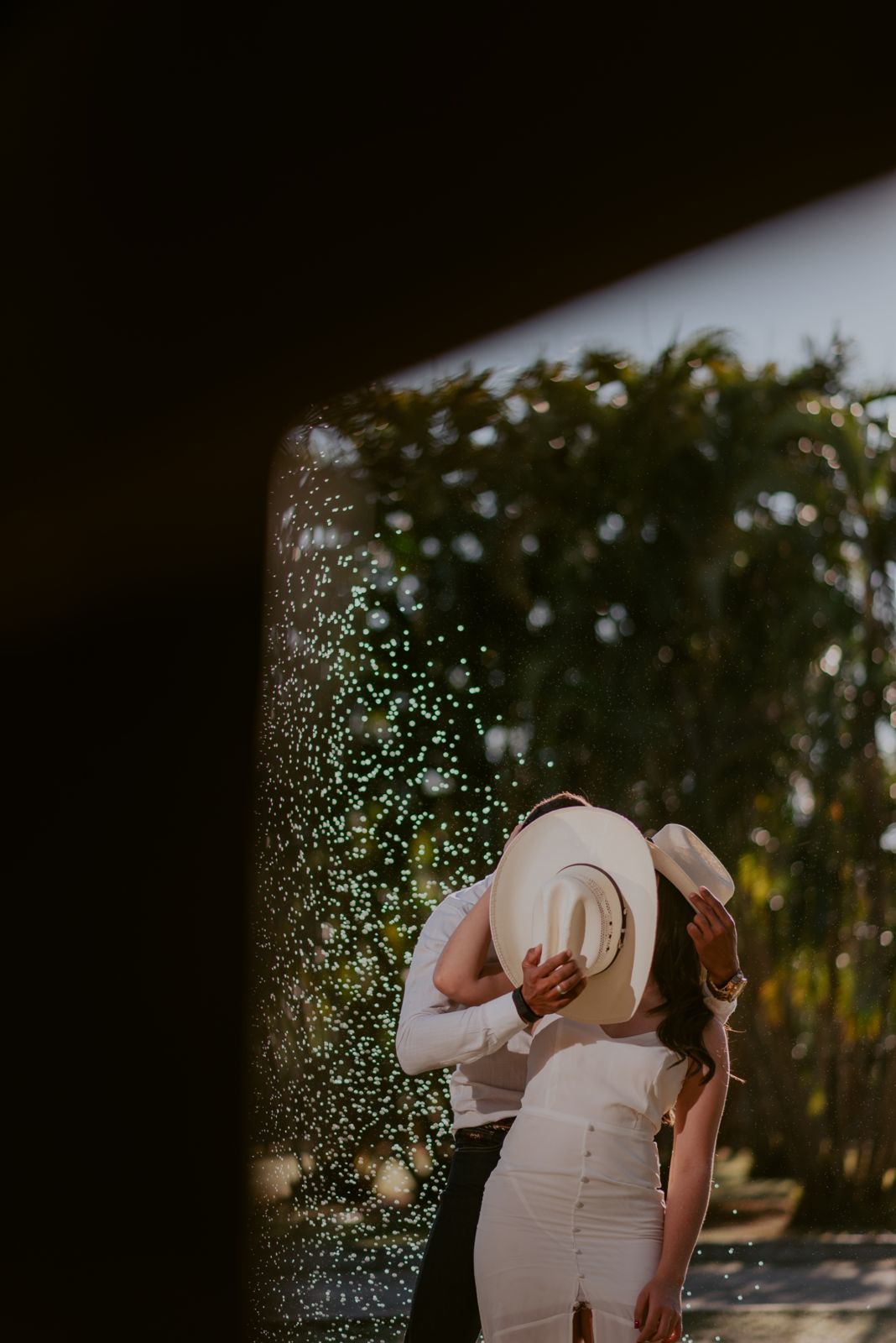 Foto LIDIA E SEBASTIAN | HARAS PONTA DA CANA | LIMEIRA-SP - Imagem 29