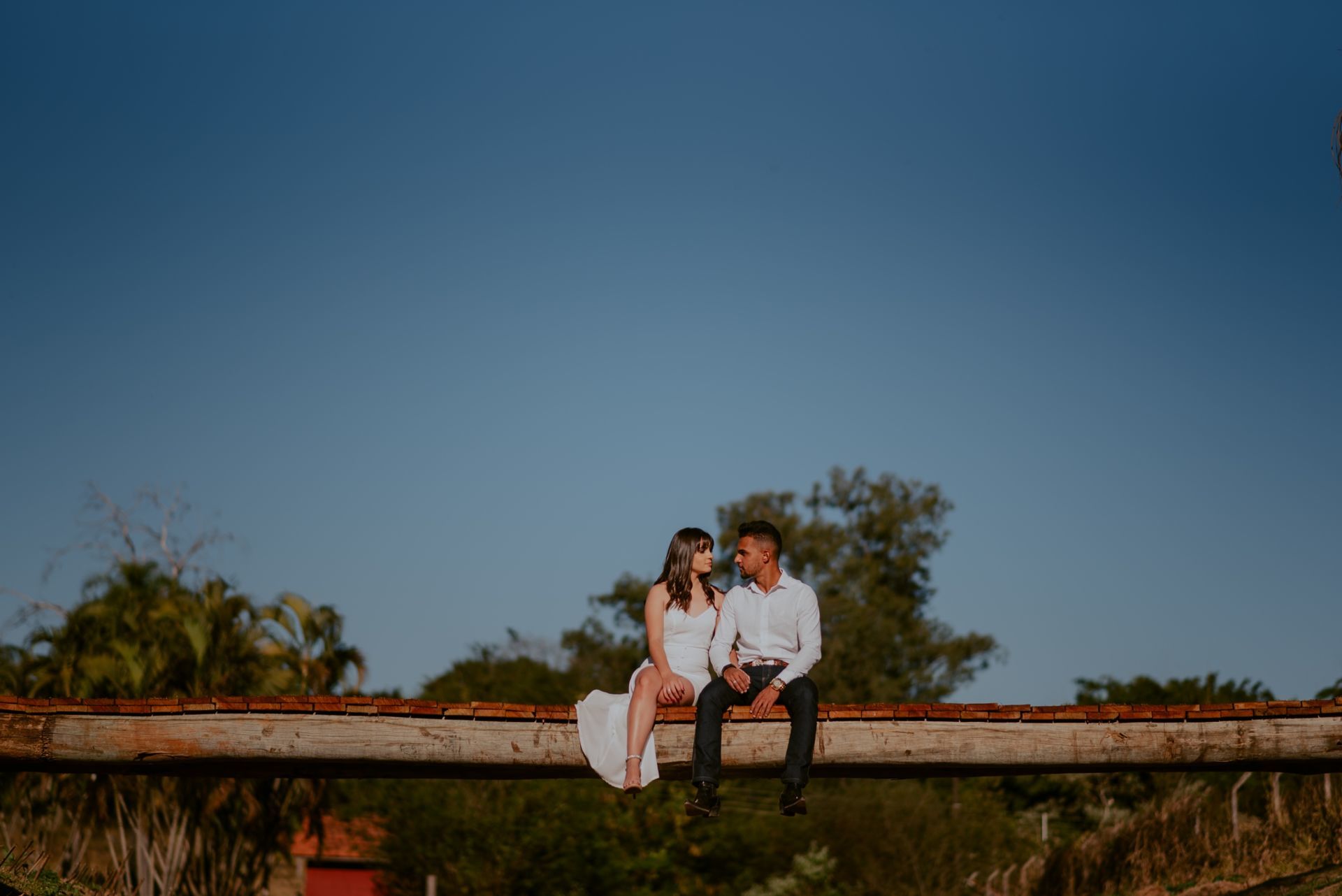 Foto LIDIA E SEBASTIAN | HARAS PONTA DA CANA | LIMEIRA-SP - Imagem 24