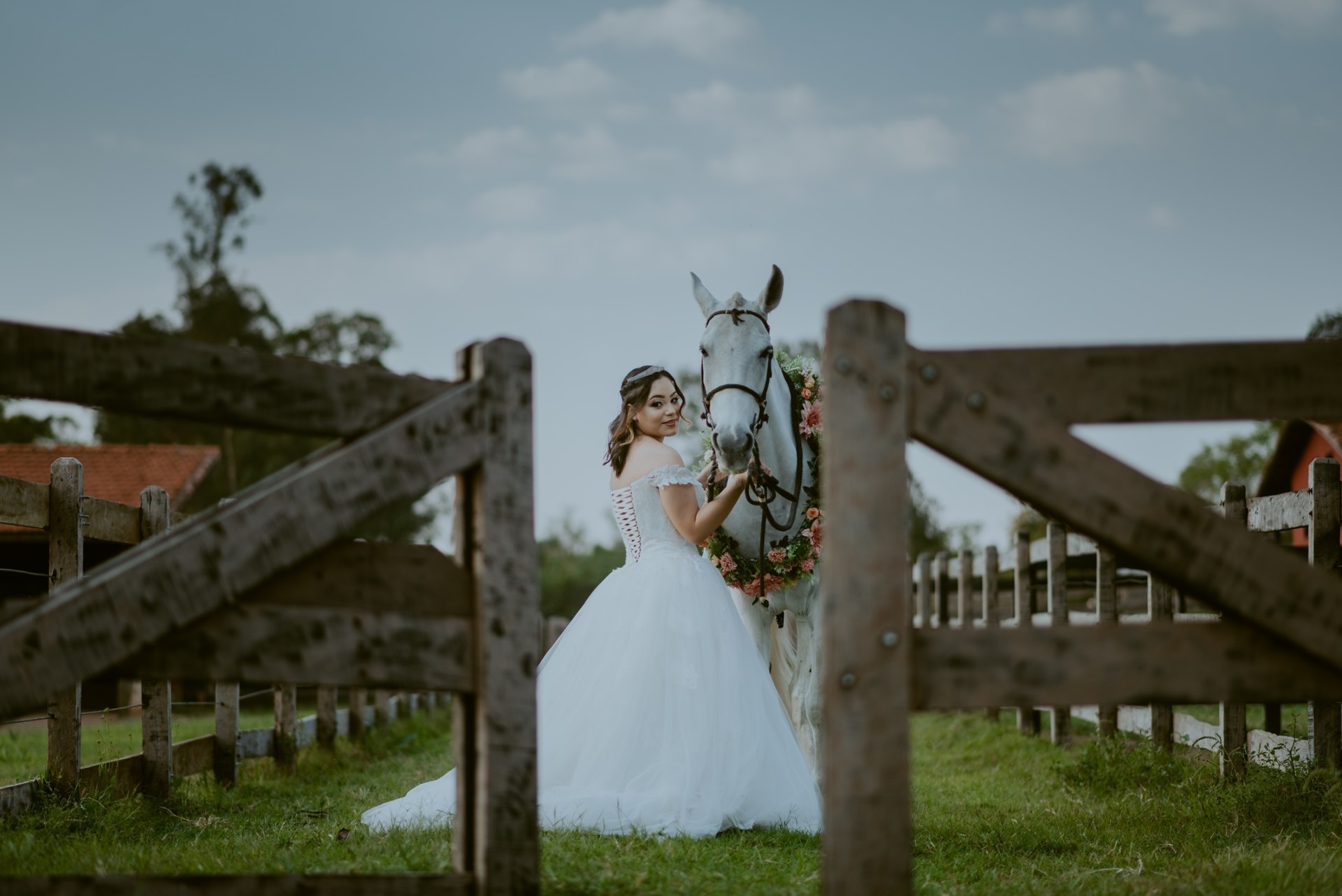 DEBUTANTE  ISABELLY | HARAS PONTA DAS CANAS | LIMEIRA - SP