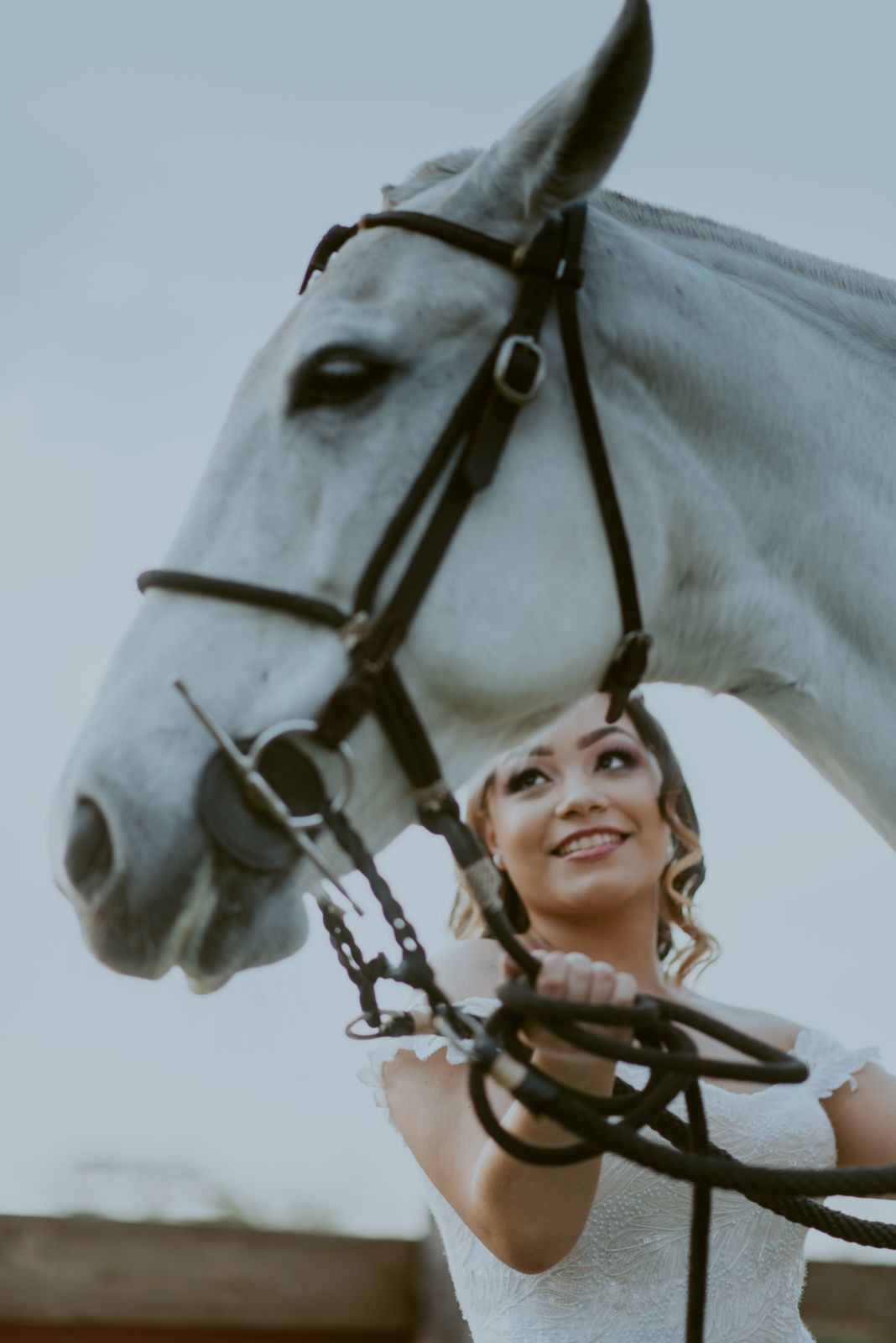 Foto DEBUTANTE  ISABELLY | HARAS PONTA DAS CANAS | LIMEIRA - SP - Imagem 22