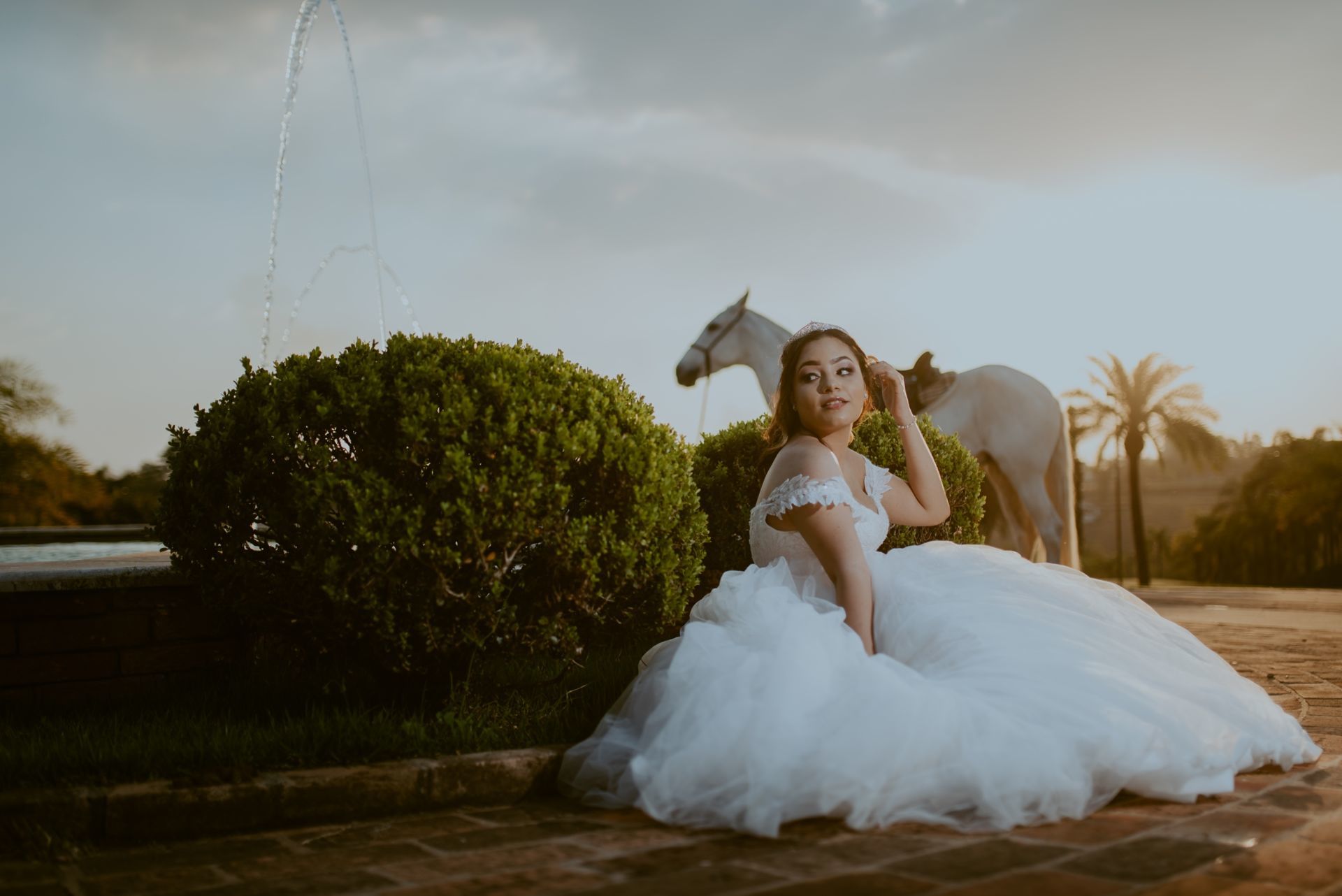 Foto DEBUTANTE  ISABELLY | HARAS PONTA DAS CANAS | LIMEIRA - SP - Imagem 28