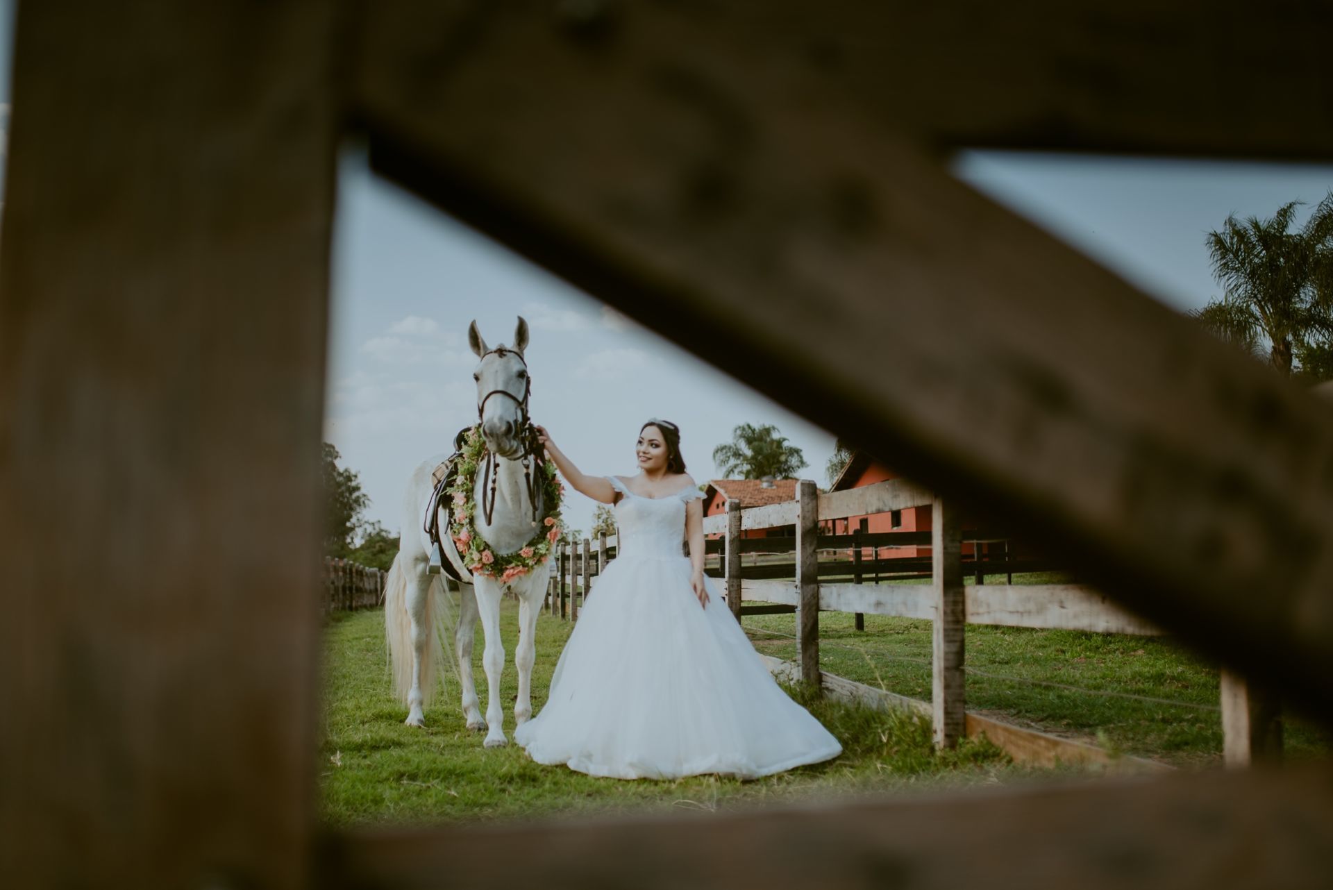 Foto DEBUTANTE  ISABELLY | HARAS PONTA DAS CANAS | LIMEIRA - SP - Imagem 18