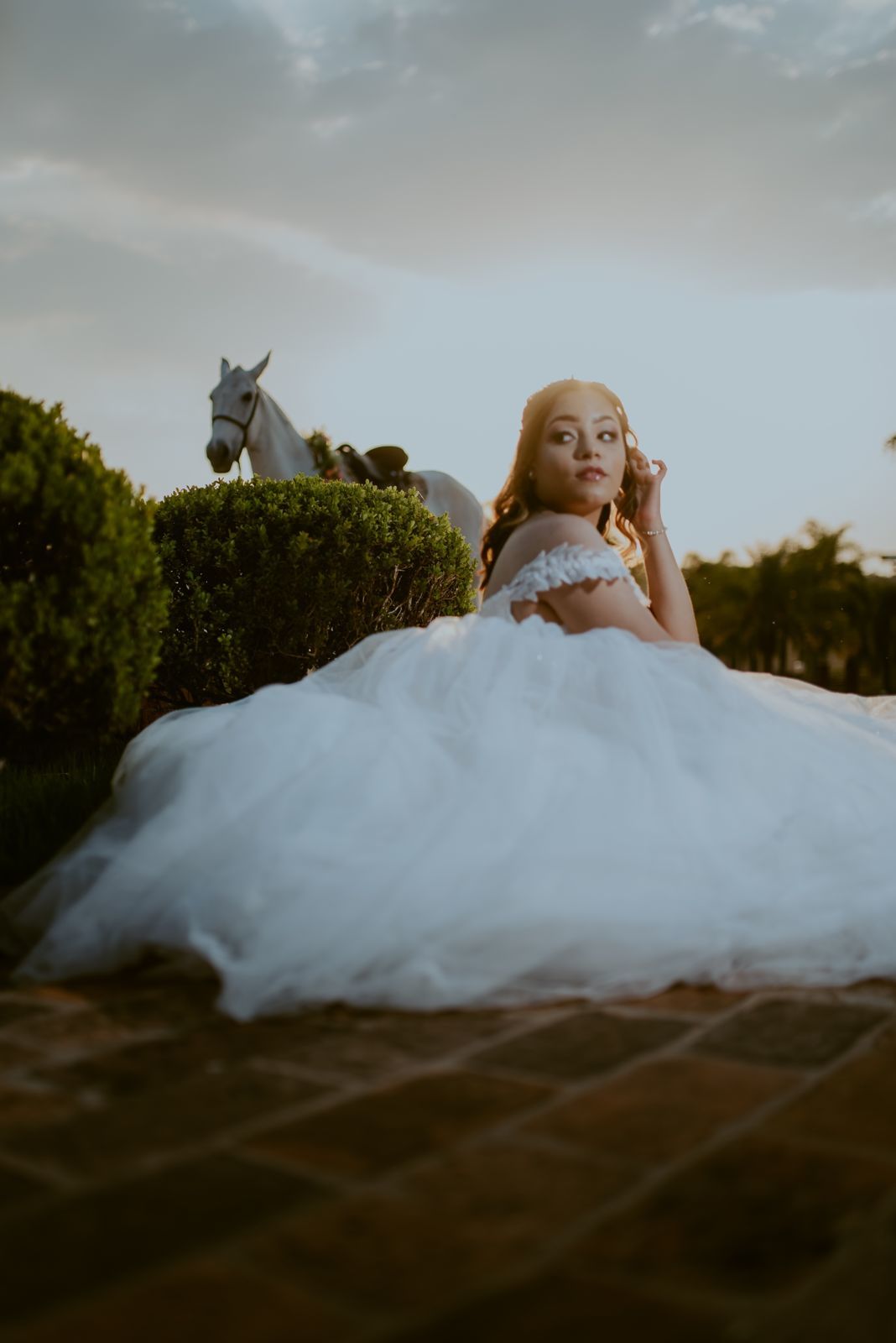 Foto DEBUTANTE  ISABELLY | HARAS PONTA DAS CANAS | LIMEIRA - SP - Imagem 29