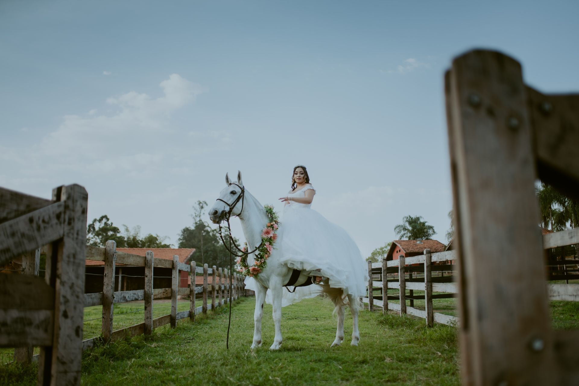 Foto DEBUTANTE  ISABELLY | HARAS PONTA DAS CANAS | LIMEIRA - SP - Imagem 23