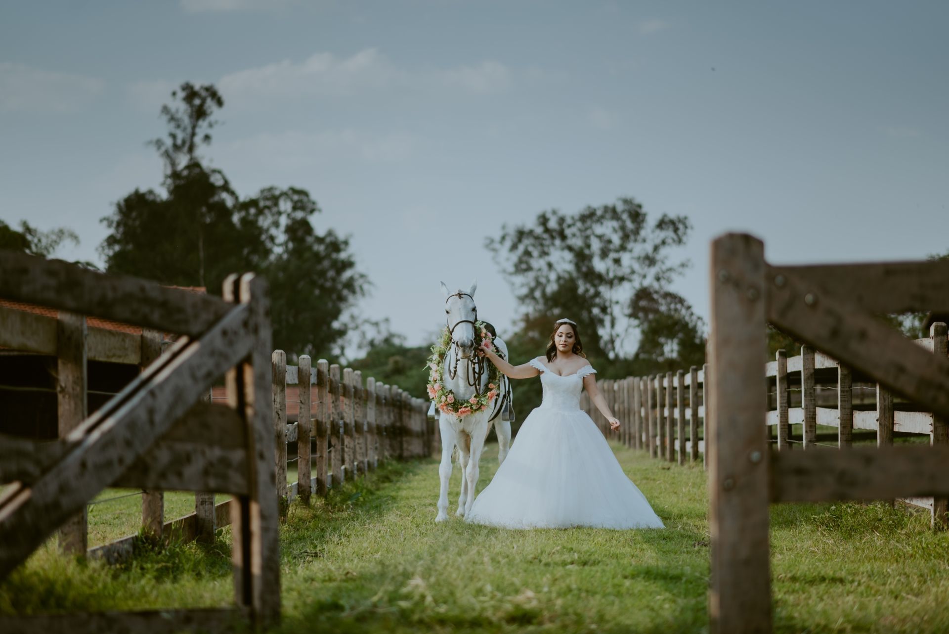 Foto DEBUTANTE  ISABELLY | HARAS PONTA DAS CANAS | LIMEIRA - SP - Imagem 10