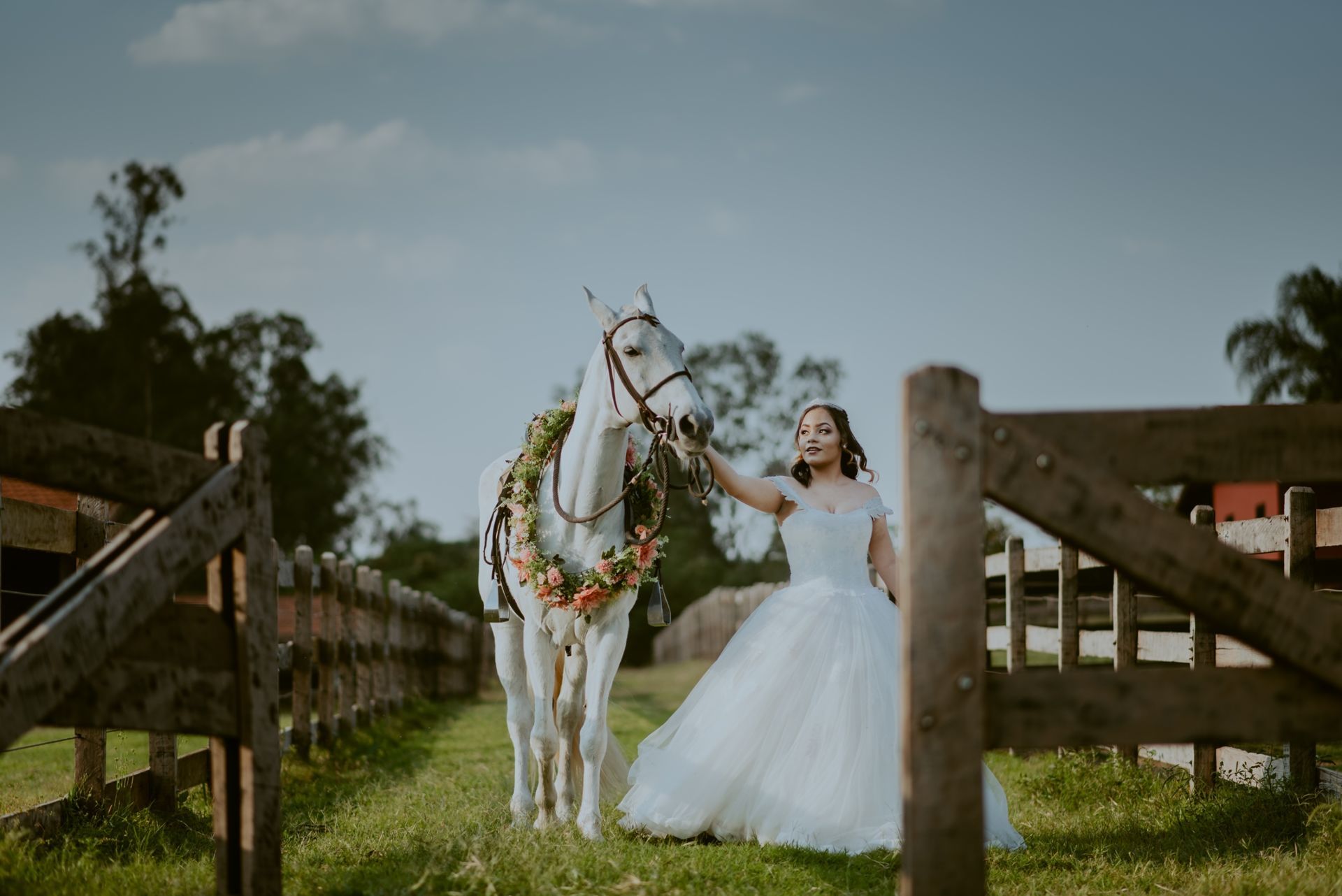 Foto DEBUTANTE  ISABELLY | HARAS PONTA DAS CANAS | LIMEIRA - SP - Imagem 11