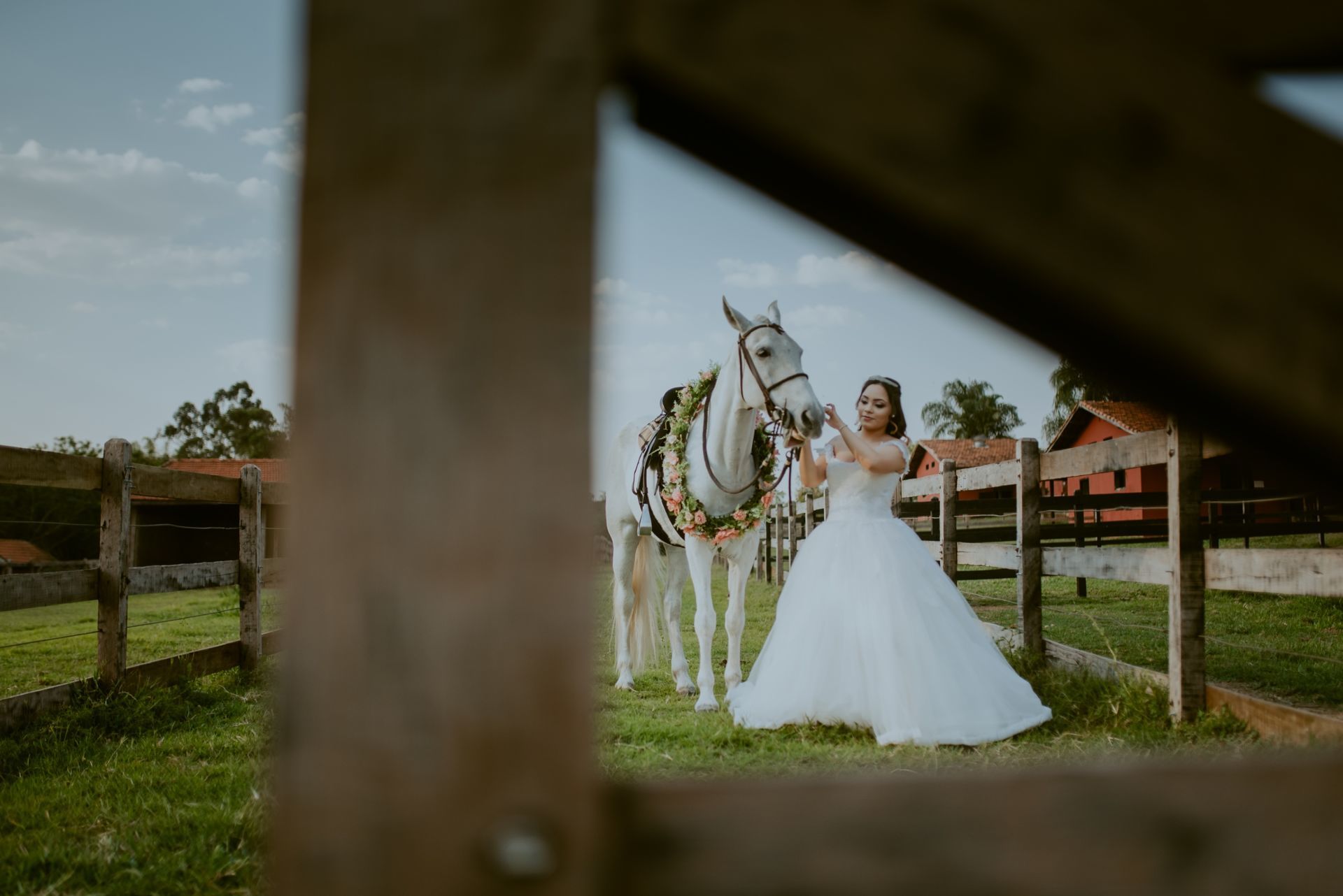 Foto DEBUTANTE  ISABELLY | HARAS PONTA DAS CANAS | LIMEIRA - SP - Imagem 17