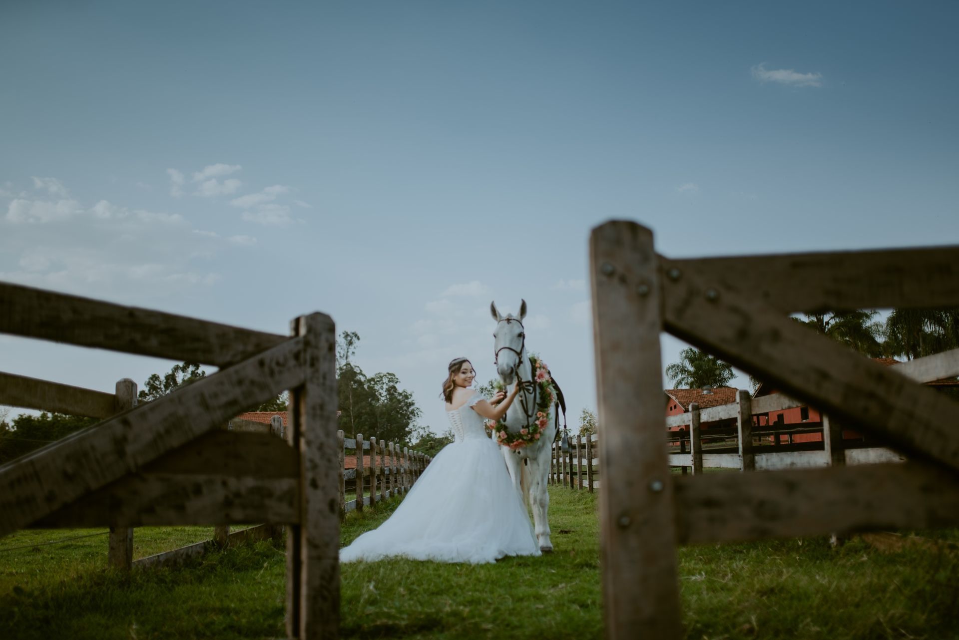 Foto DEBUTANTE  ISABELLY | HARAS PONTA DAS CANAS | LIMEIRA - SP - Imagem 19