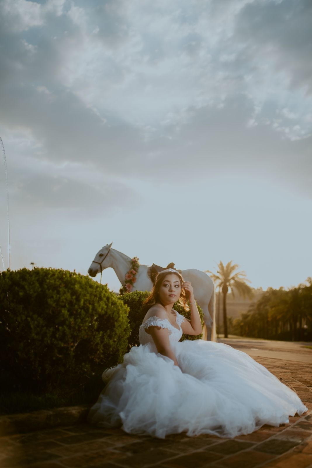 Foto DEBUTANTE  ISABELLY | HARAS PONTA DAS CANAS | LIMEIRA - SP - Imagem 27