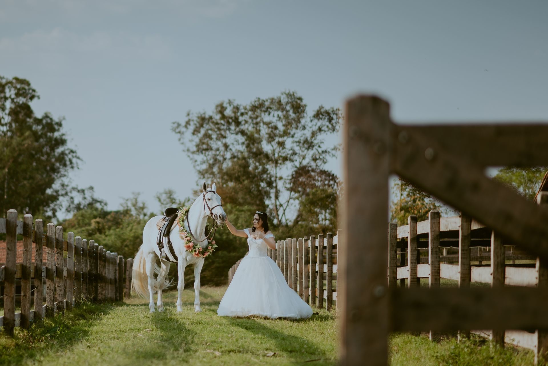 Foto DEBUTANTE  ISABELLY | HARAS PONTA DAS CANAS | LIMEIRA - SP - Imagem 13