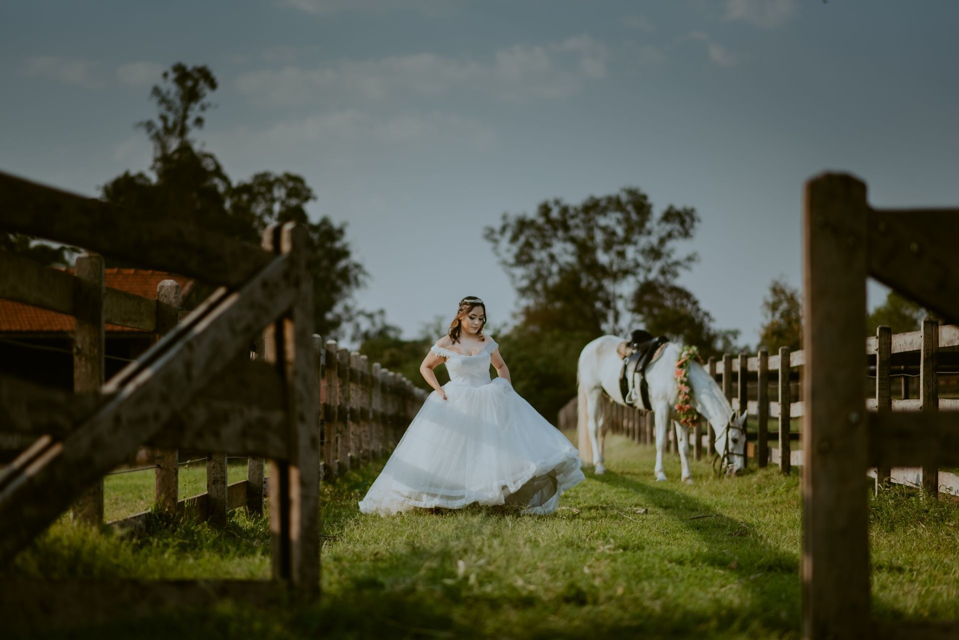 Foto DEBUTANTE  ISABELLY | HARAS PONTA DAS CANAS | LIMEIRA - SP - Imagem 15