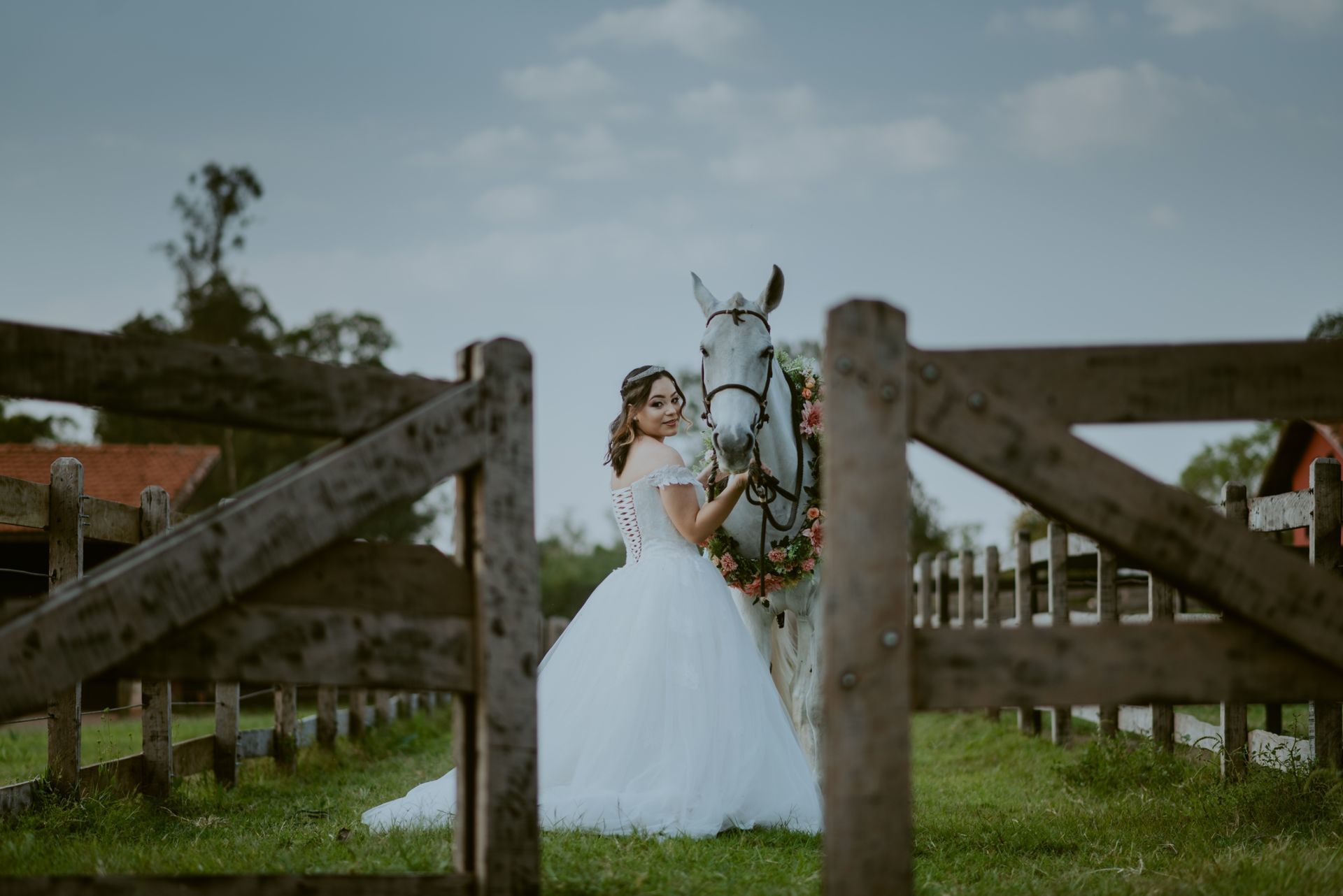 Foto DEBUTANTE  ISABELLY | HARAS PONTA DAS CANAS | LIMEIRA - SP - Imagem 20