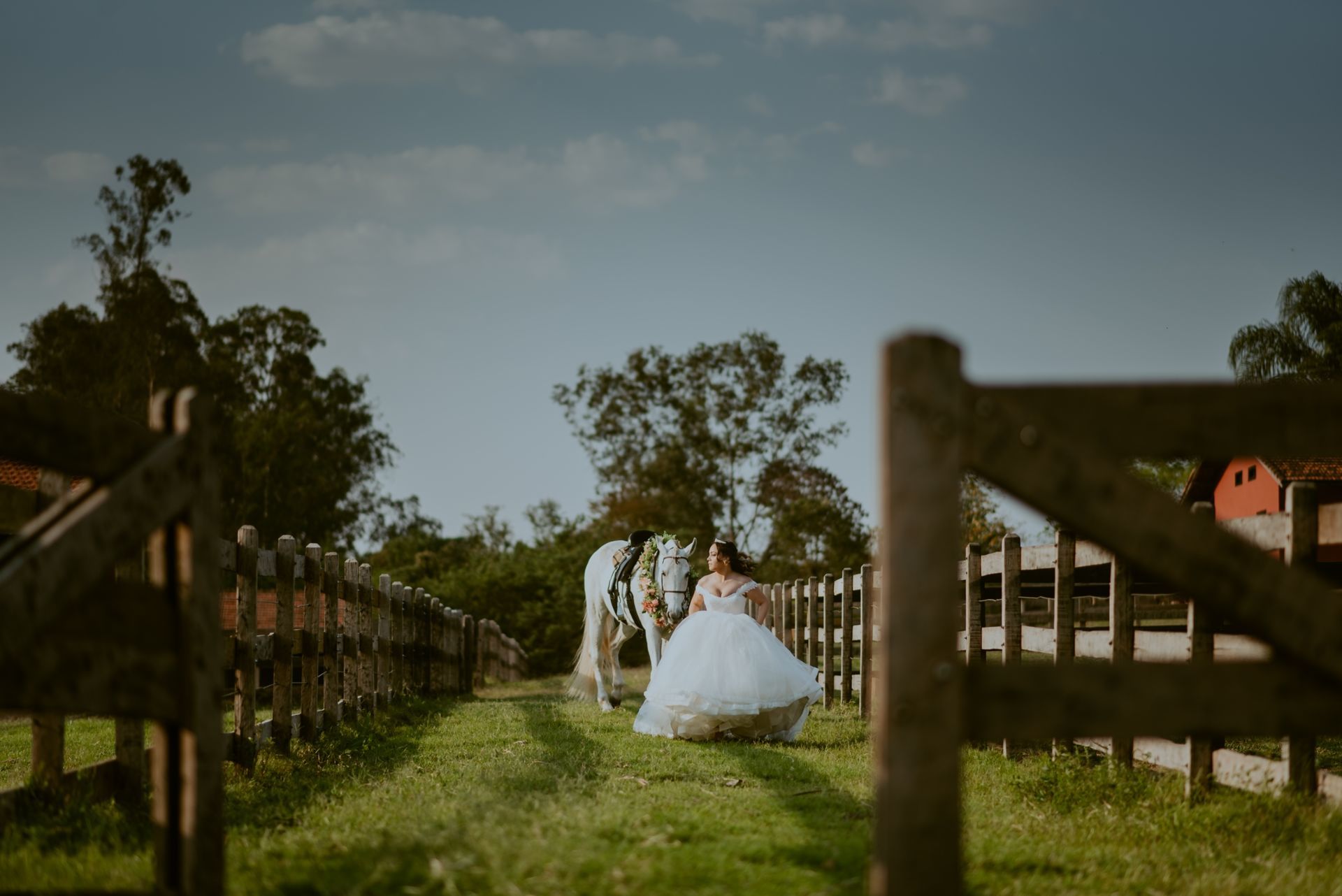 Foto DEBUTANTE  ISABELLY | HARAS PONTA DAS CANAS | LIMEIRA - SP - Imagem 14