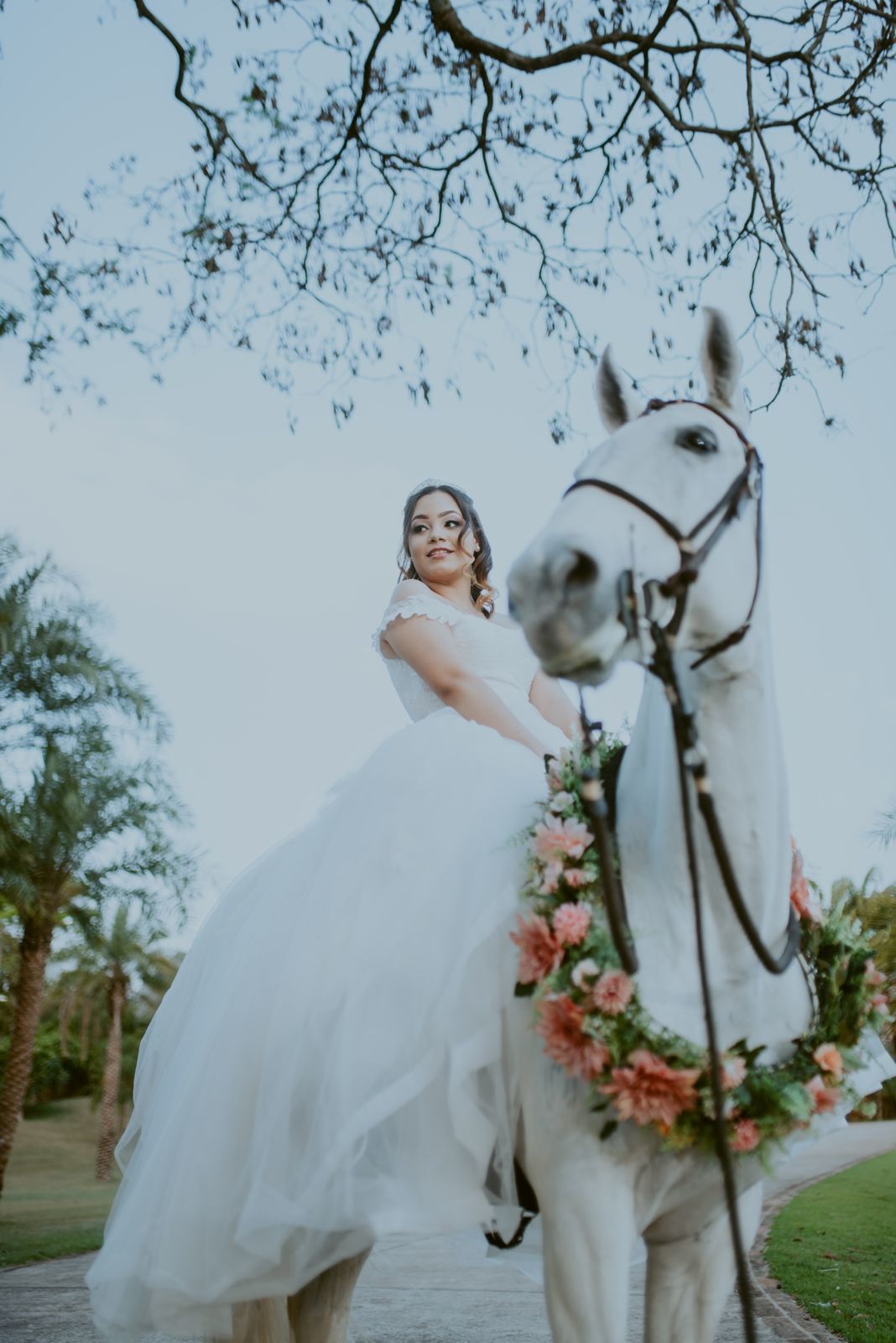Foto DEBUTANTE  ISABELLY | HARAS PONTA DAS CANAS | LIMEIRA - SP - Imagem 24