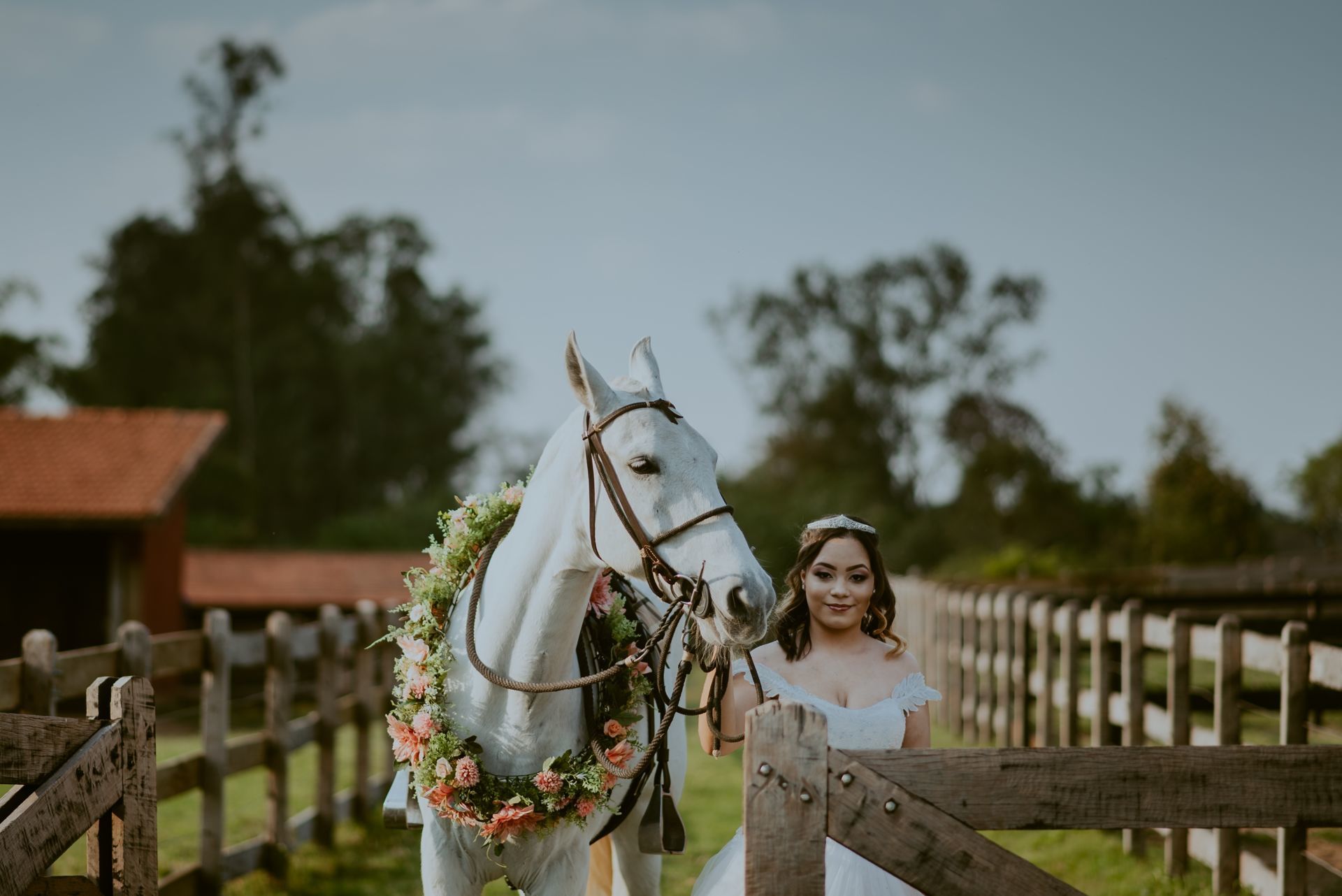 Foto DEBUTANTE  ISABELLY | HARAS PONTA DAS CANAS | LIMEIRA - SP - Imagem 12