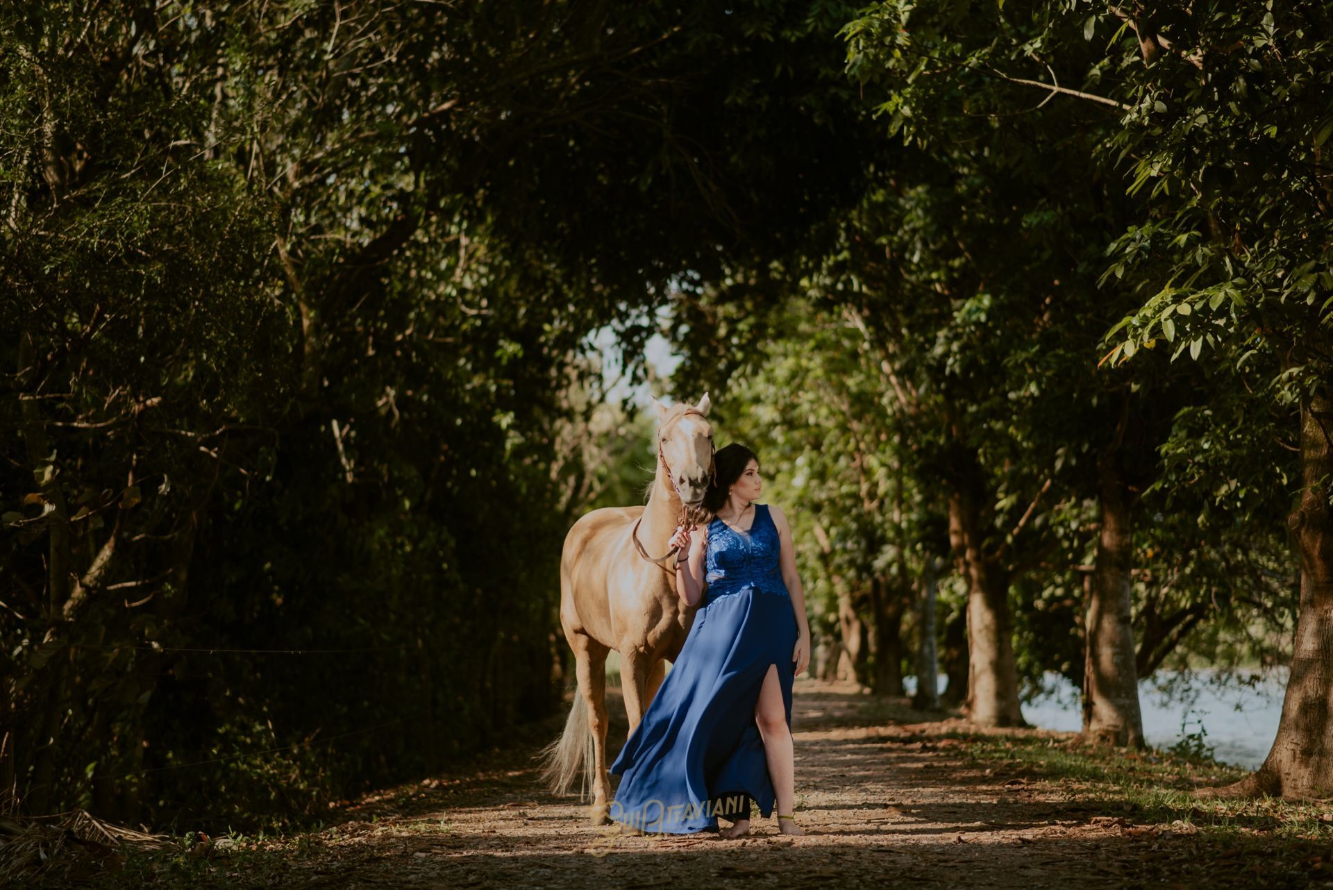 Foto DEBUTANTE DANNY | FAZENDA ITAPOA | CORDEIRÓPOLIS - SP - Imagem 5