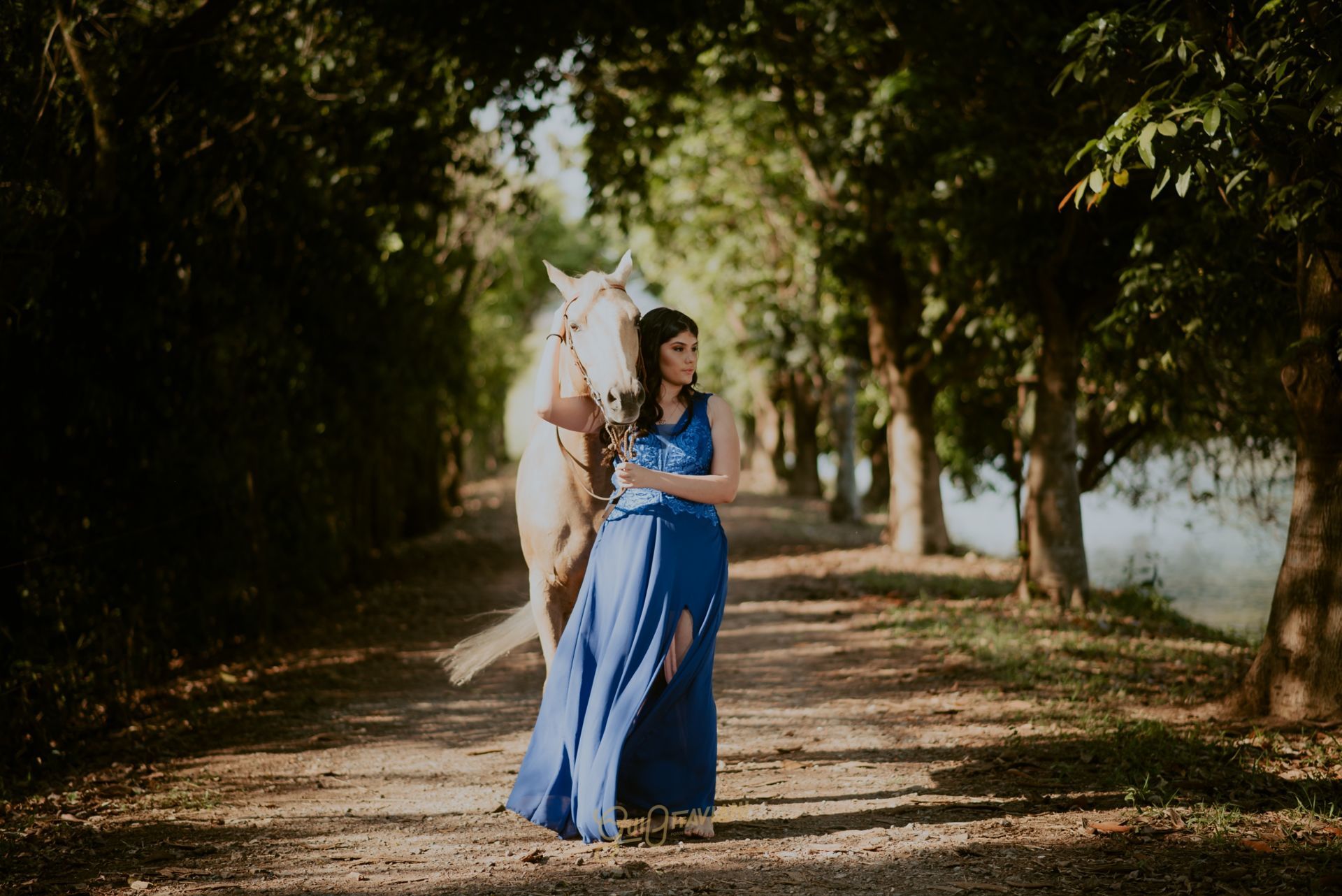 Foto DEBUTANTE DANNY | FAZENDA ITAPOA | CORDEIRÓPOLIS - SP - Imagem 3