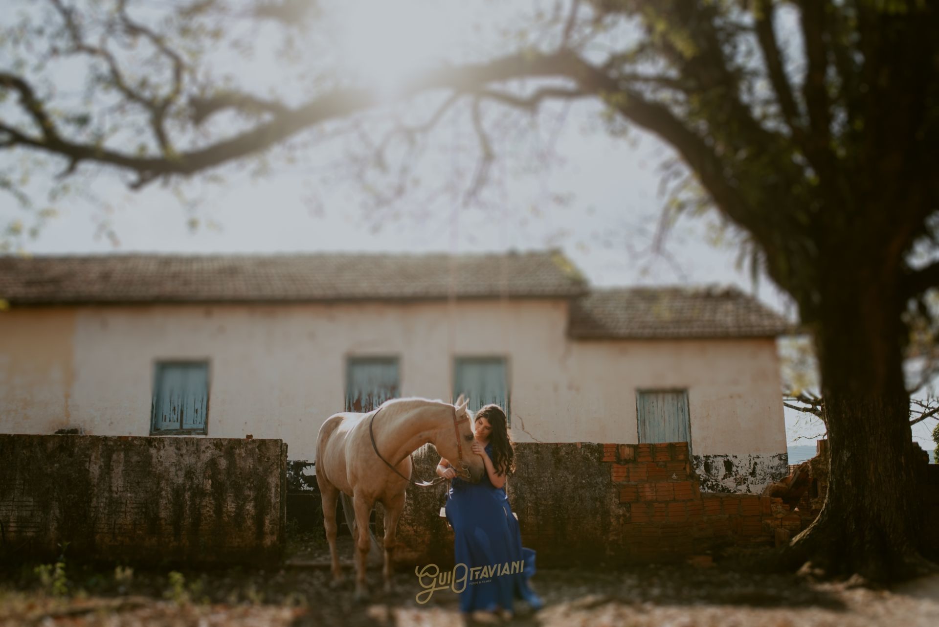 Foto DEBUTANTE DANNY | FAZENDA ITAPOA | CORDEIRÓPOLIS - SP - Imagem 6