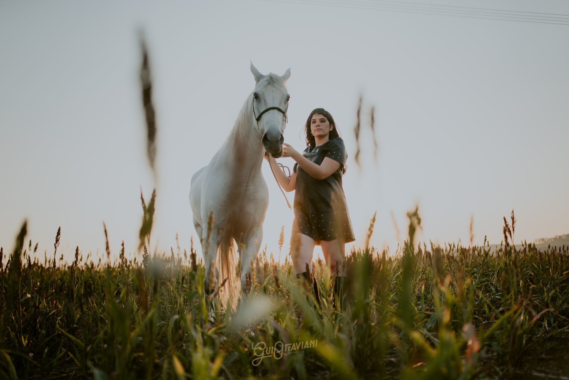 Foto DEBUTANTE DANNY | FAZENDA ITAPOA | CORDEIRÓPOLIS - SP - Imagem 38