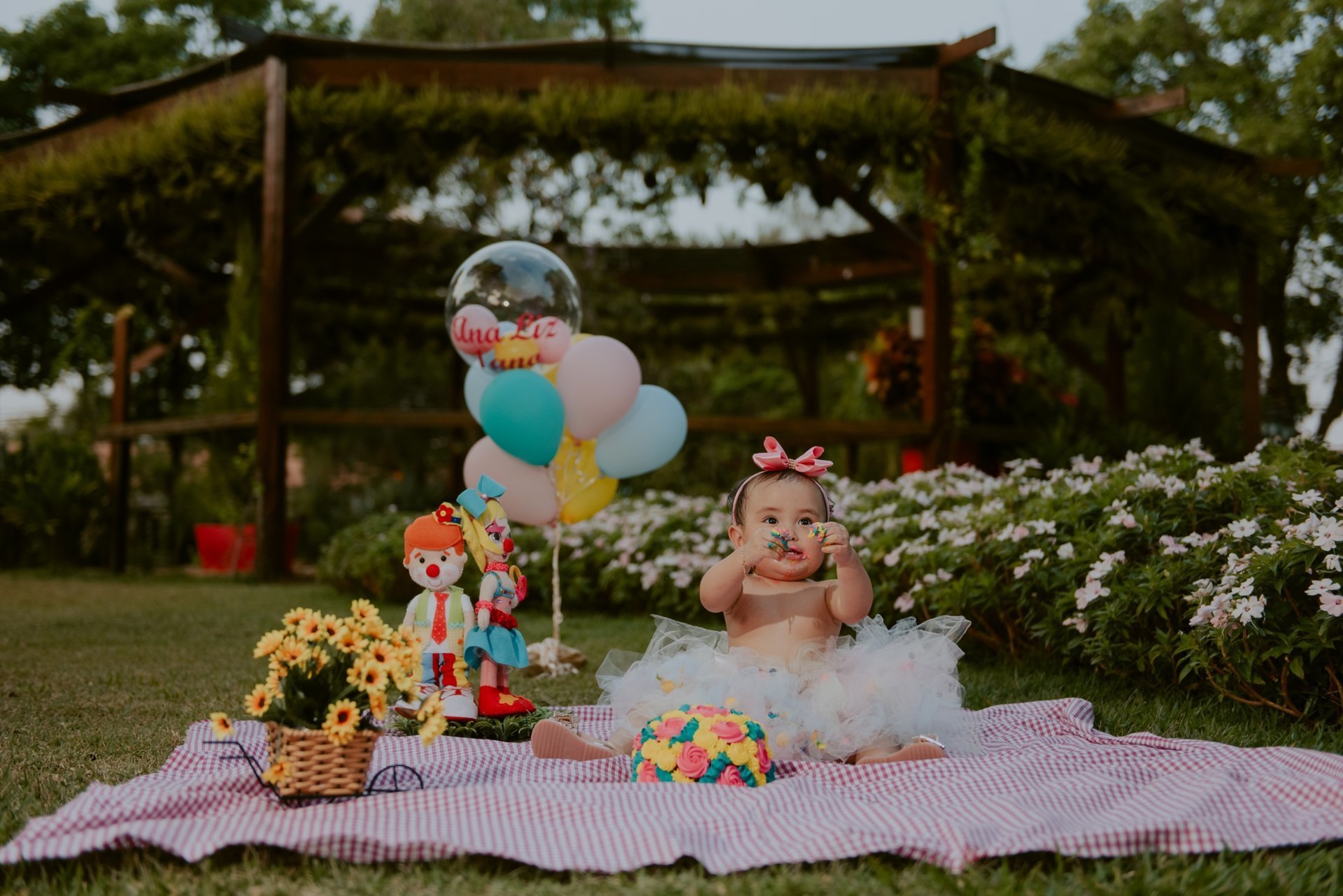 SMASH THE CAKE | ANA LIZ | HOLAMBRA - SP