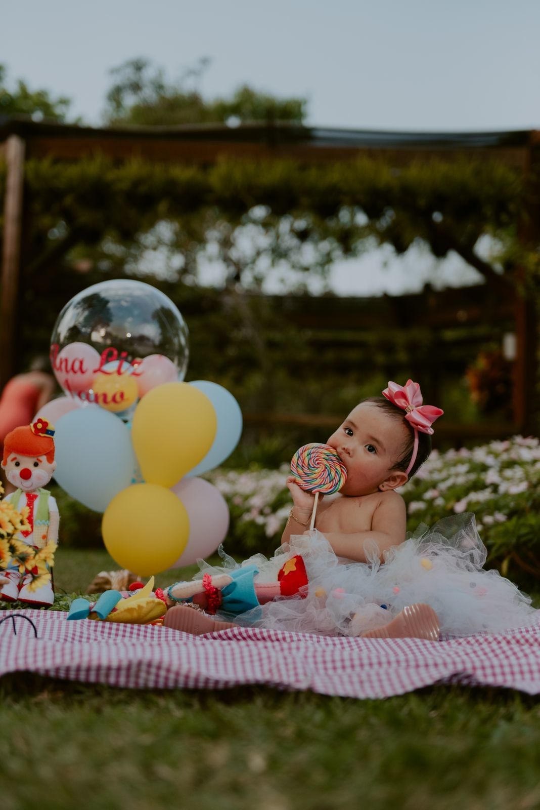 Foto SMASH THE CAKE | ANA LIZ | HOLAMBRA - SP - Imagem 37