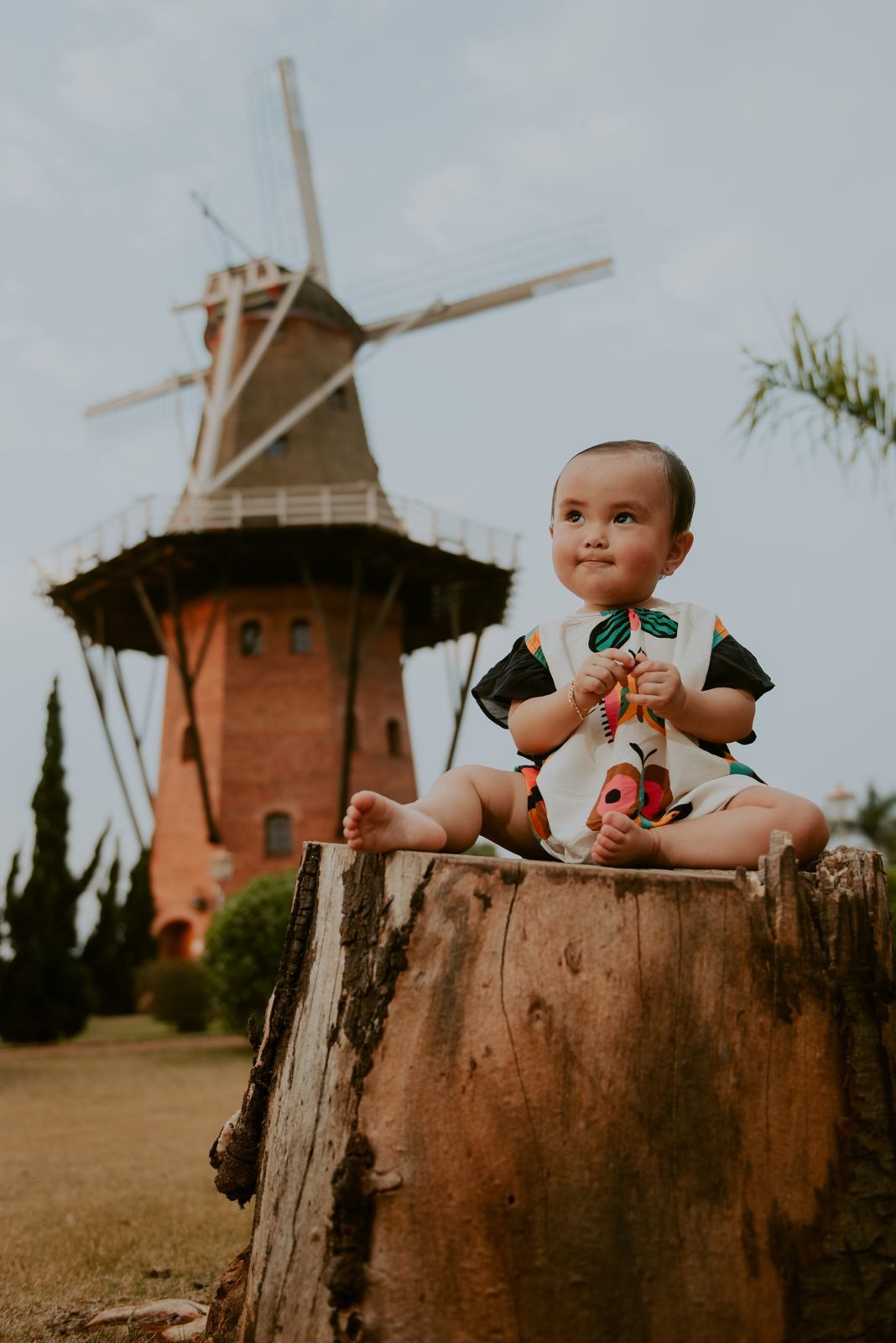 Foto SMASH THE CAKE | ANA LIZ | HOLAMBRA - SP - Imagem 59