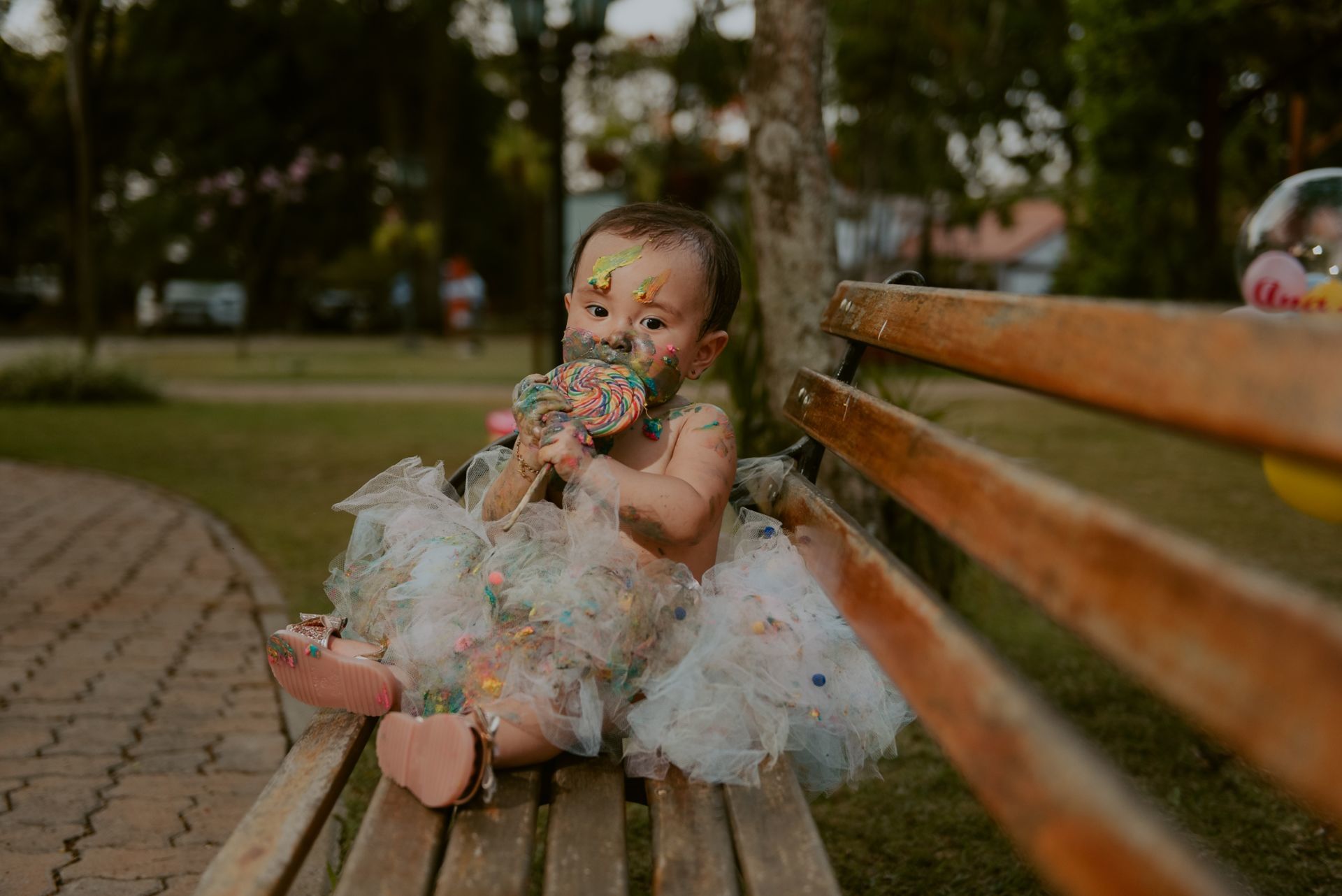 Foto SMASH THE CAKE | ANA LIZ | HOLAMBRA - SP - Imagem 49